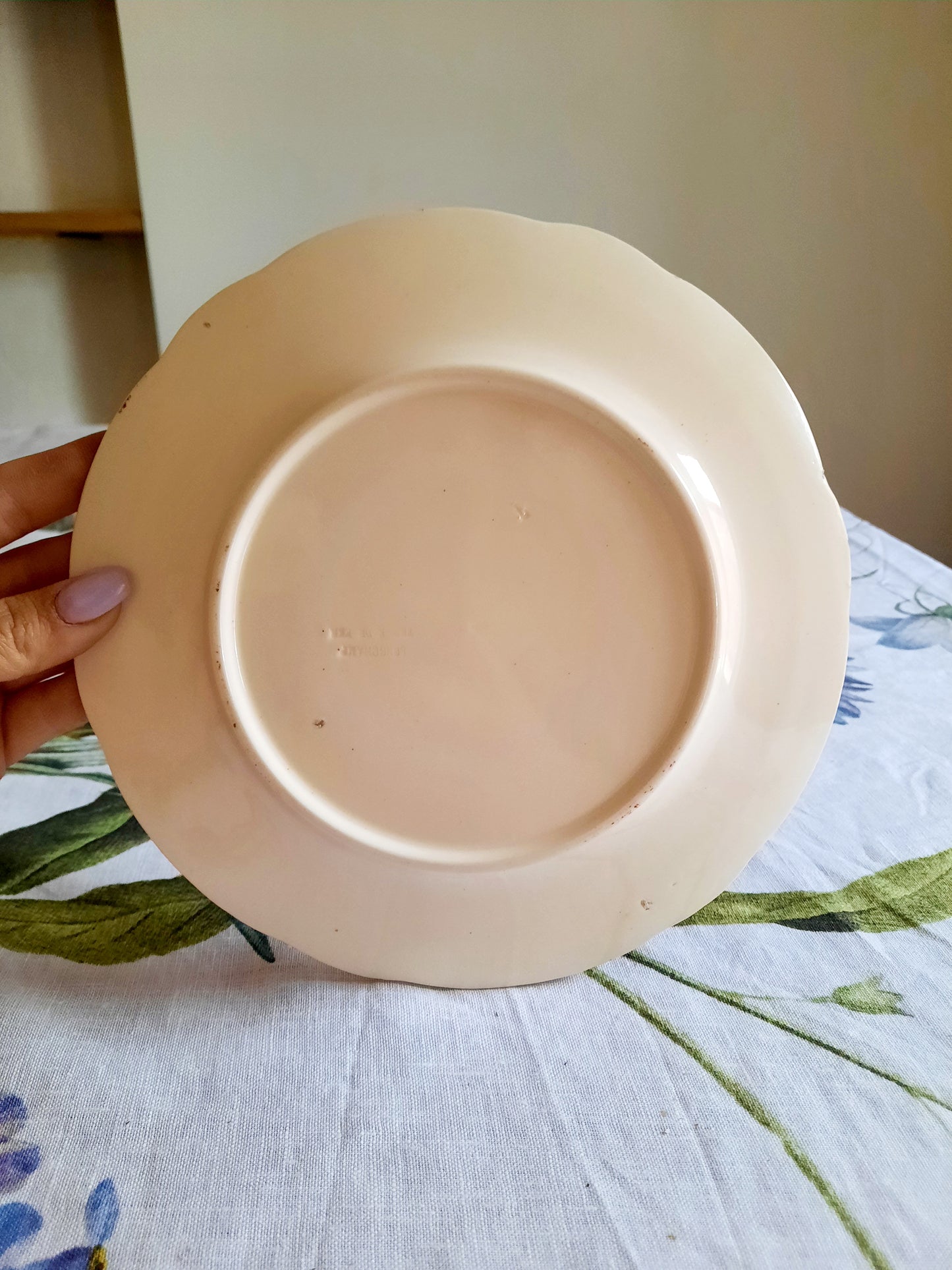 Lot de 6 assiettes à dessert Longchamp (1)