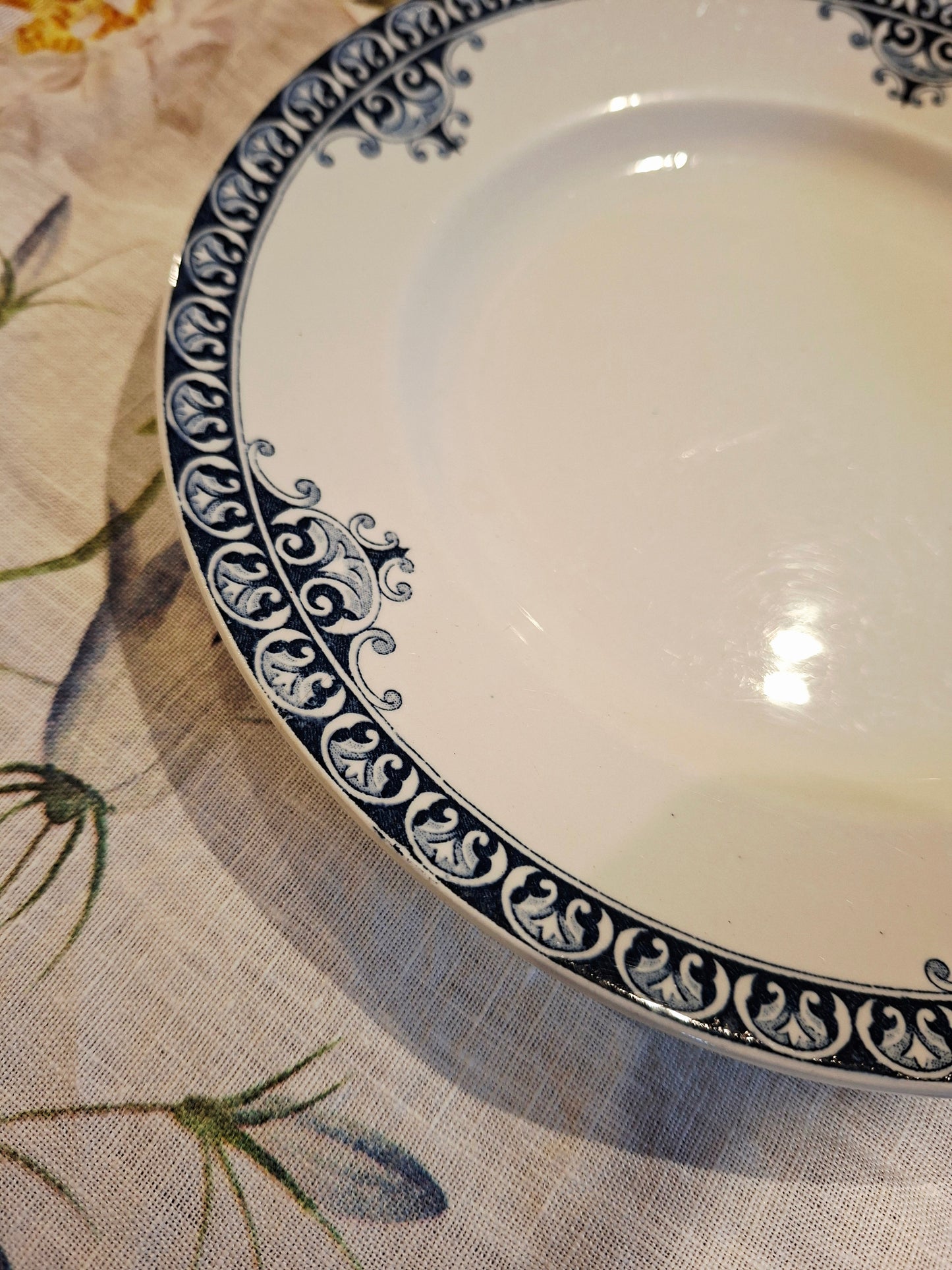 Lot de 5 assiettes plates St Amand & Hamage