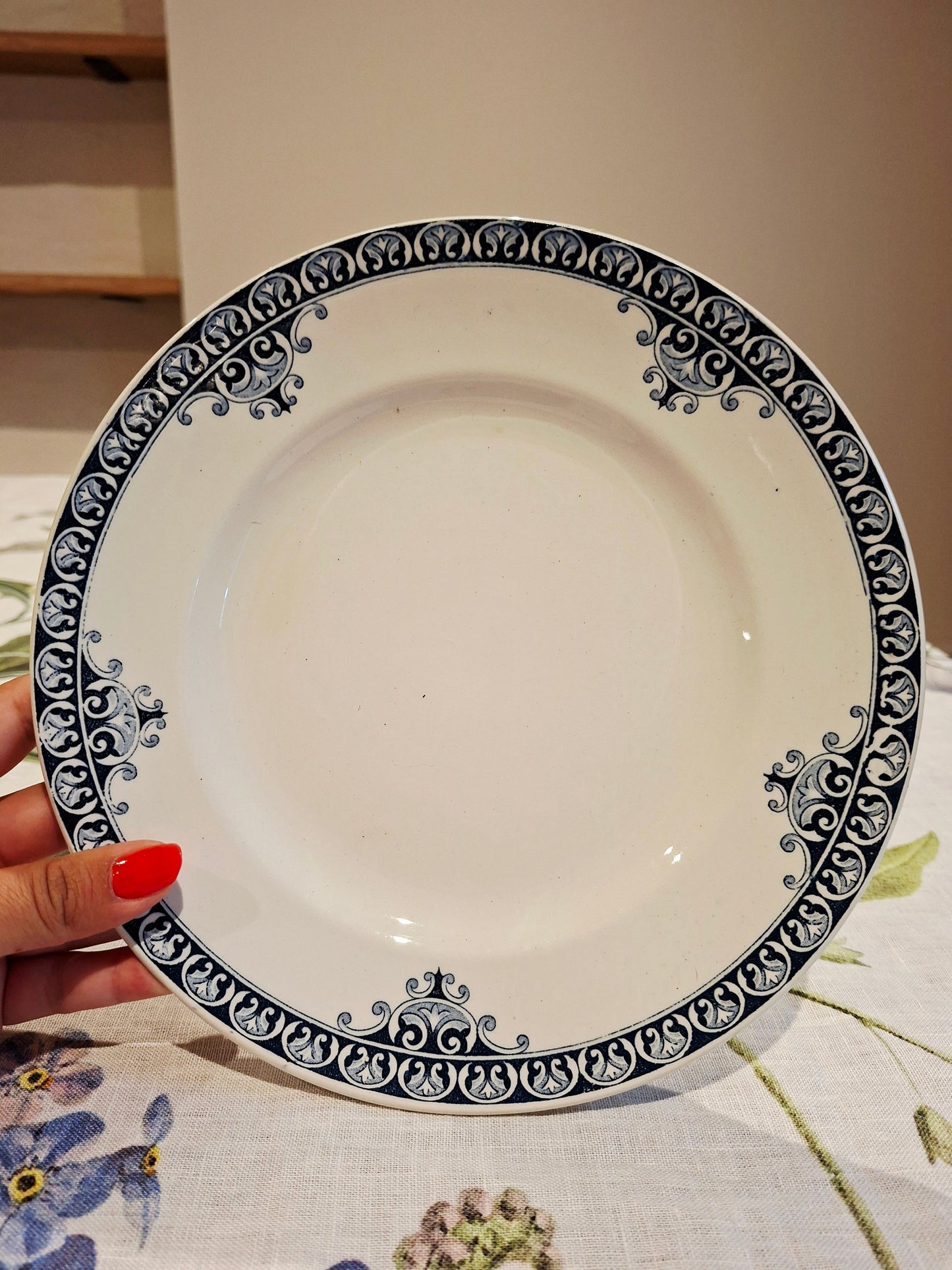 Lot de 5 assiettes plates St Amand & Hamage