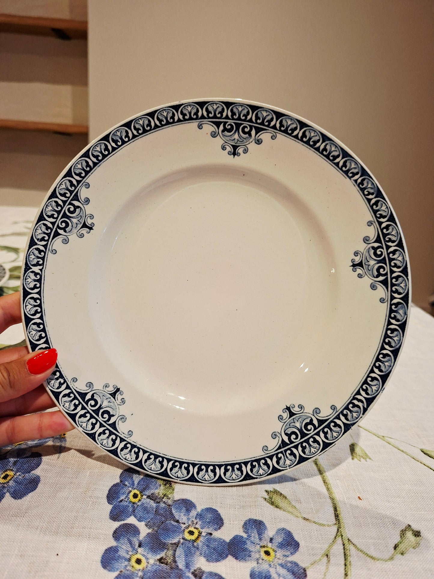 Lot de 5 assiettes plates St Amand & Hamage