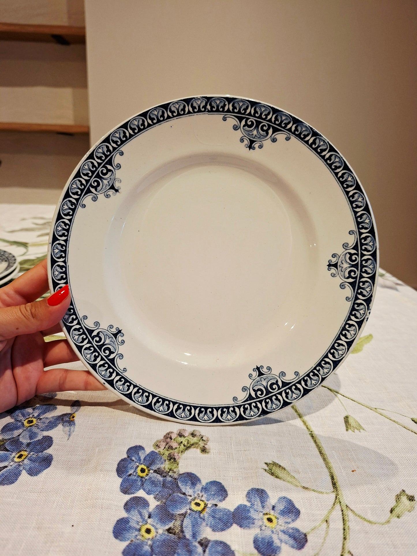 Lot de 5 assiettes plates St Amand & Hamage