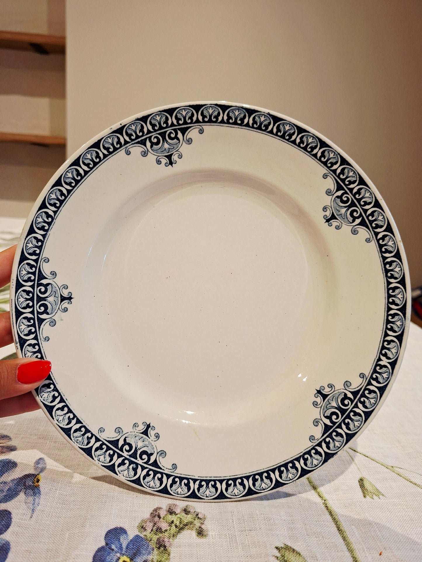 Lot de 5 assiettes plates St Amand & Hamage