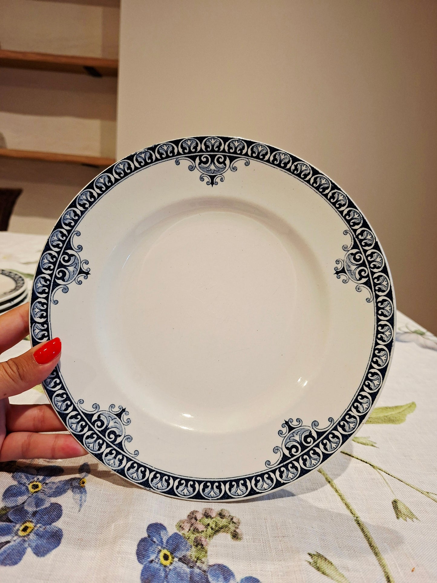 Lot de 5 assiettes plates St Amand & Hamage