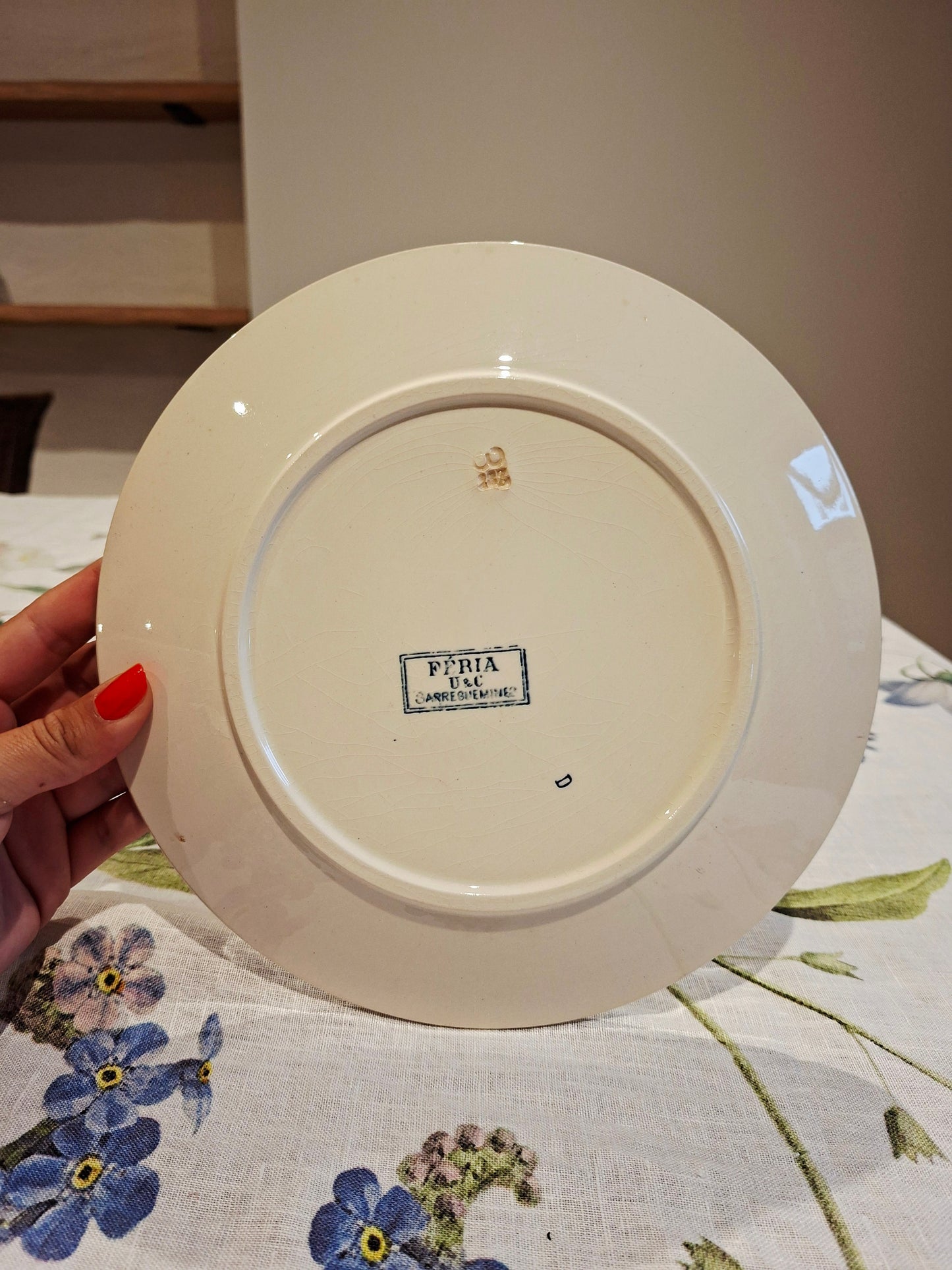 Lot de 6 assiettes plates "Féria" U&C Sarreguemines