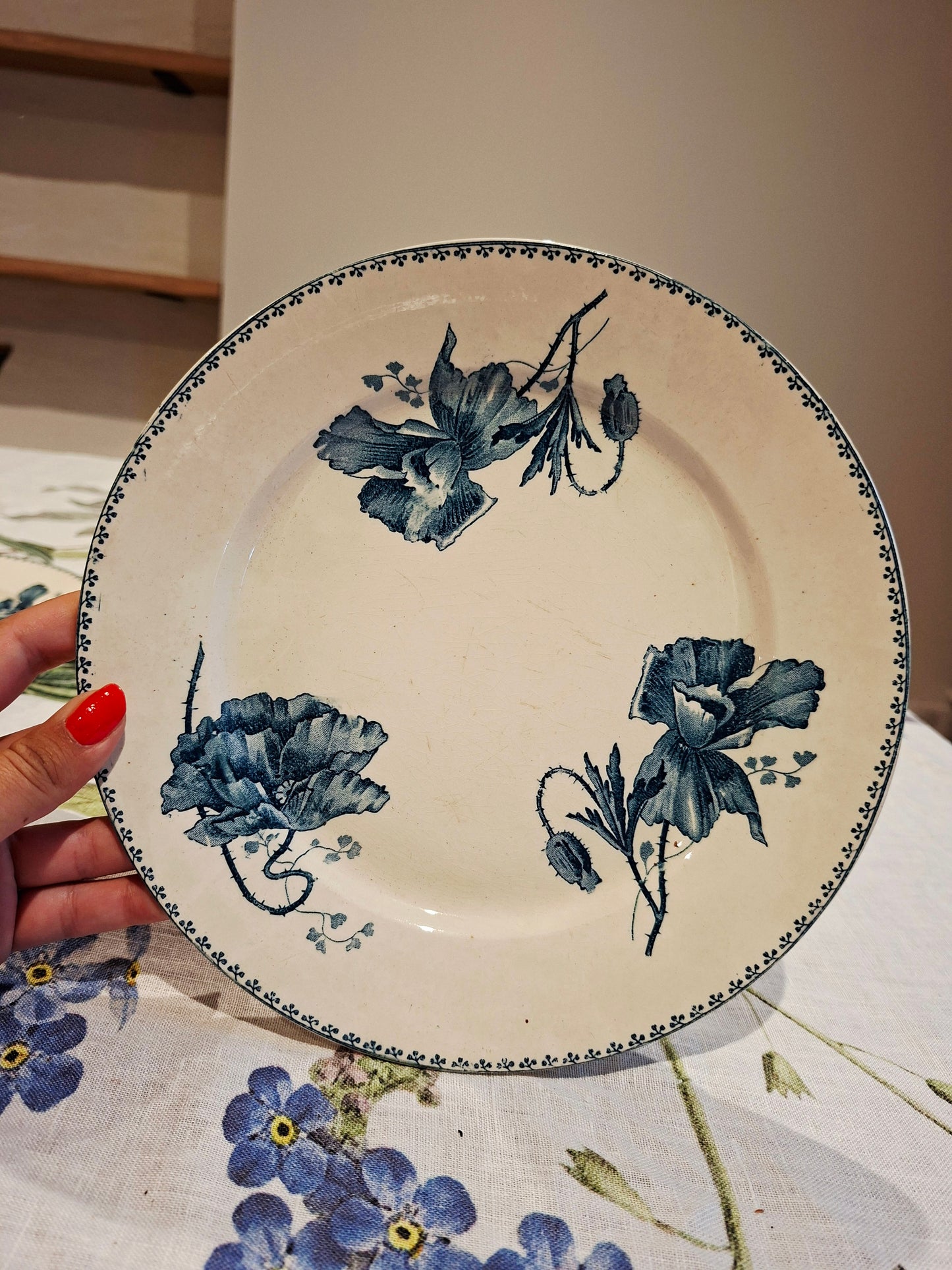Lot de 6 assiettes plates "Féria" U&C Sarreguemines