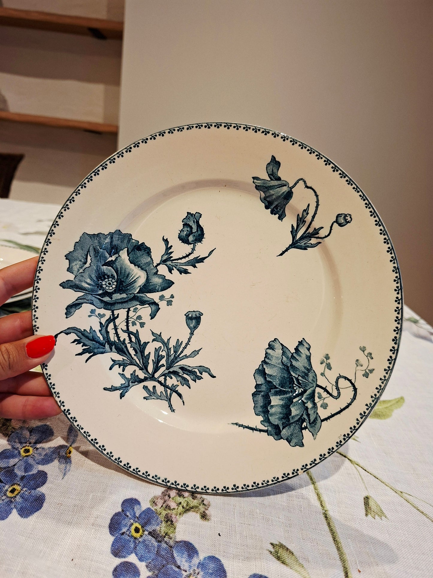 Lot de 6 assiettes plates "Féria" U&C Sarreguemines