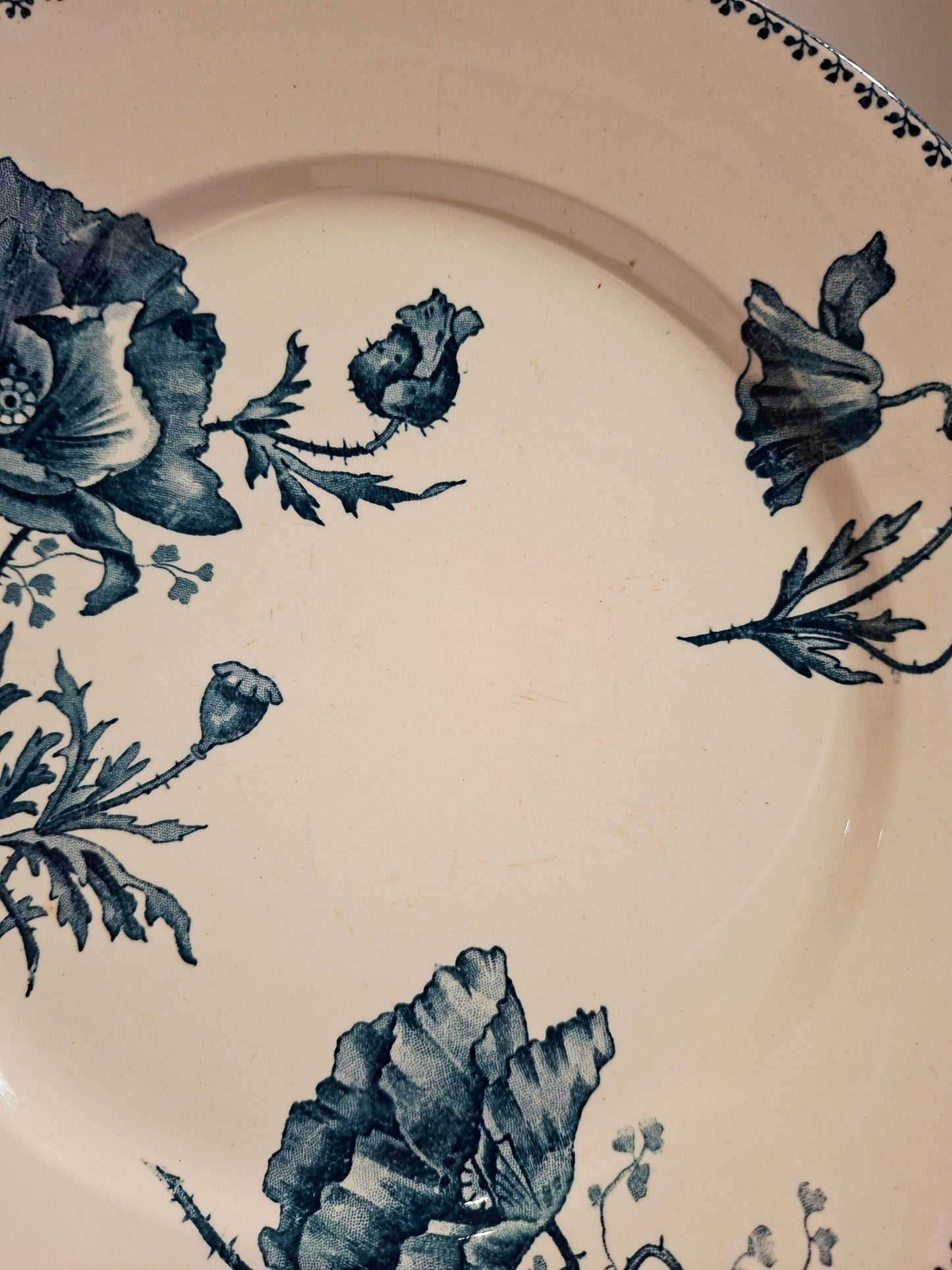 Lot de 6 assiettes plates "Féria" U&C Sarreguemines