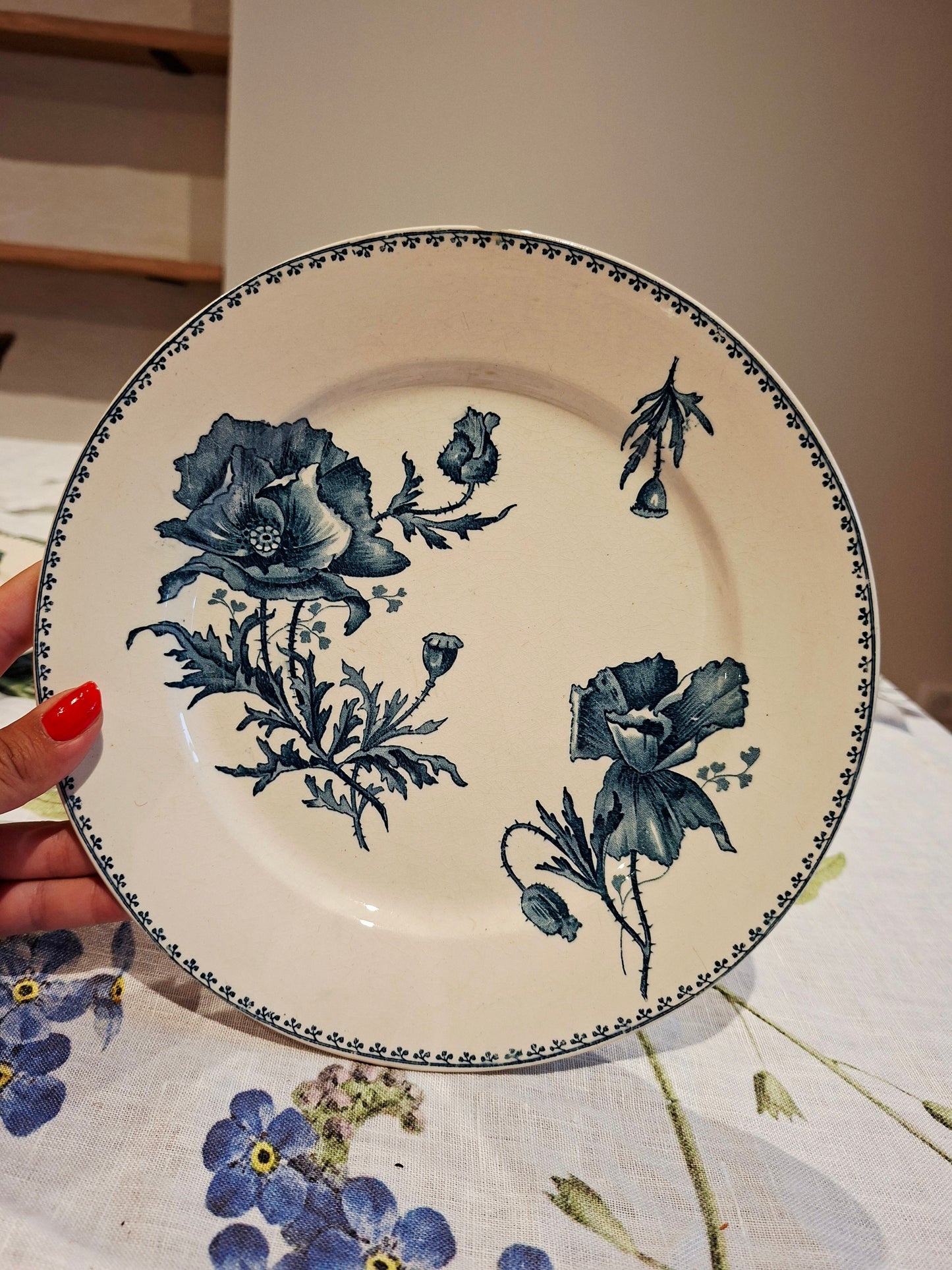 Lot de 6 assiettes plates "Féria" U&C Sarreguemines