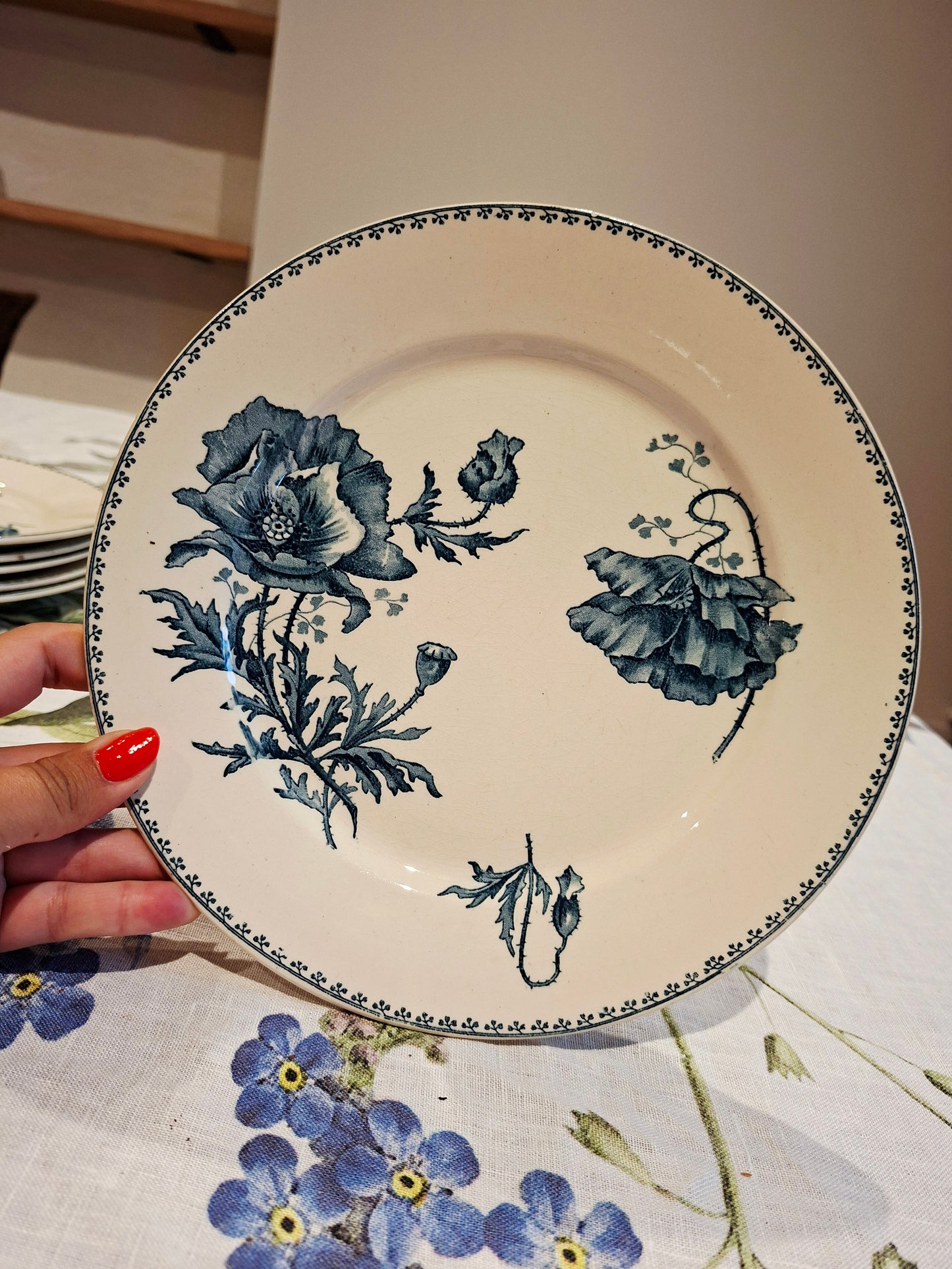 Lot de 6 assiettes plates "Féria" U&C Sarreguemines