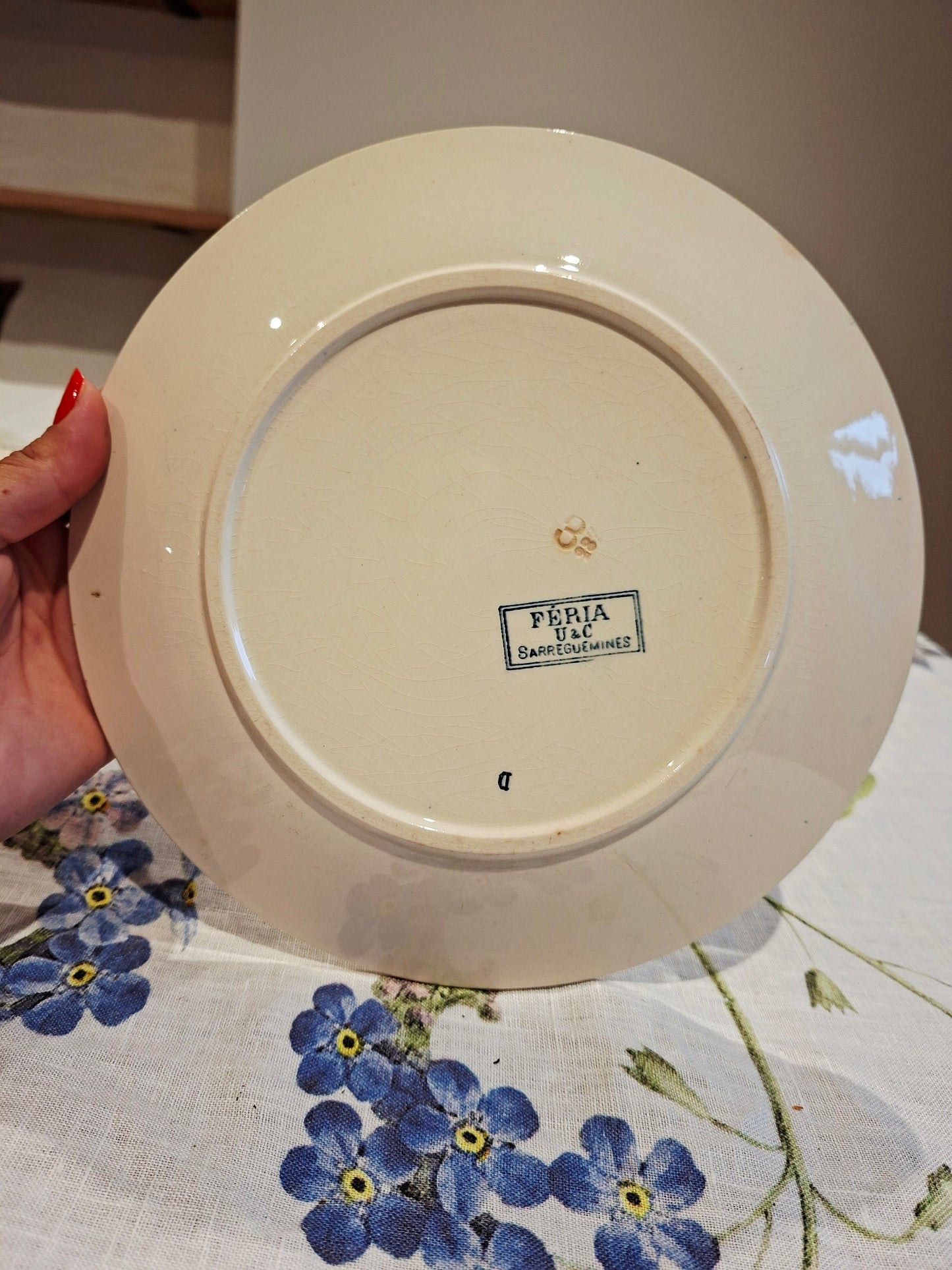 Lot de 6 assiettes plates "Féria" U&C Sarreguemines