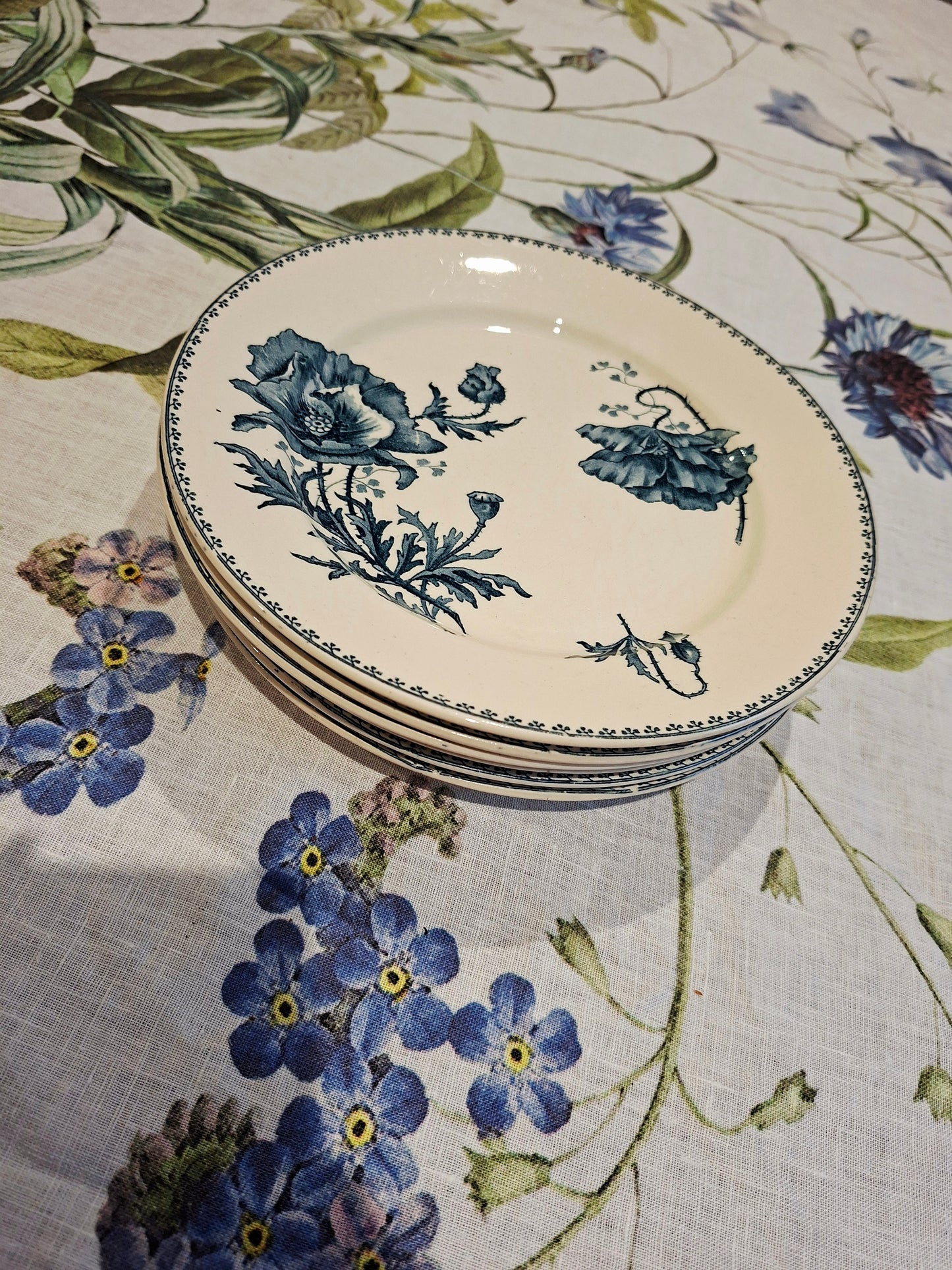 Lot de 6 assiettes plates "Féria" U&C Sarreguemines