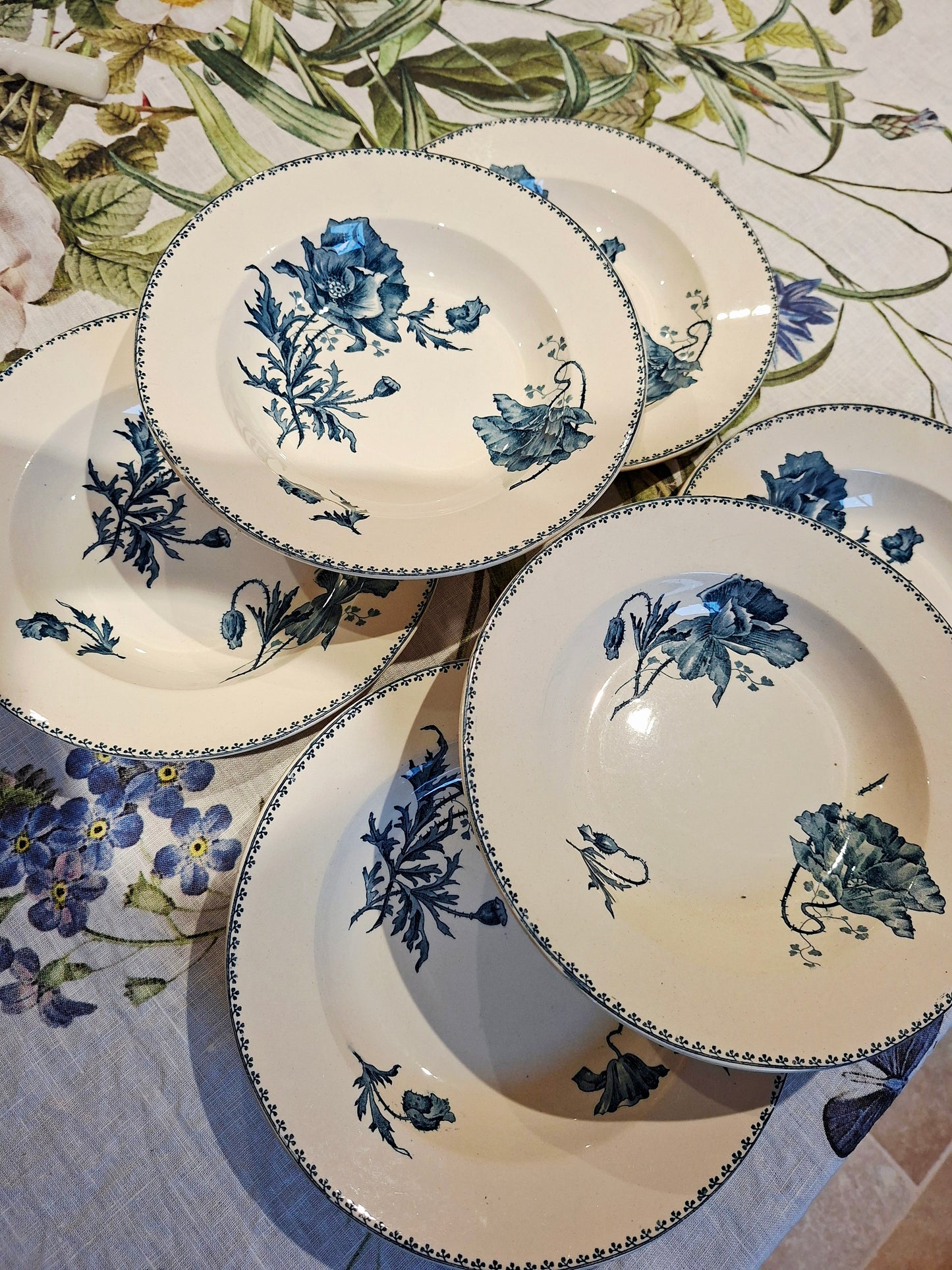 Lot de 6 assiettes creuses "Féria" U&C Sarreguemines