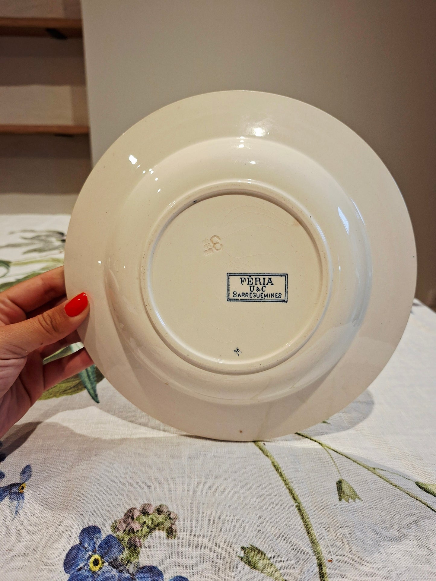 Lot de 6 assiettes creuses "Féria" U&C Sarreguemines