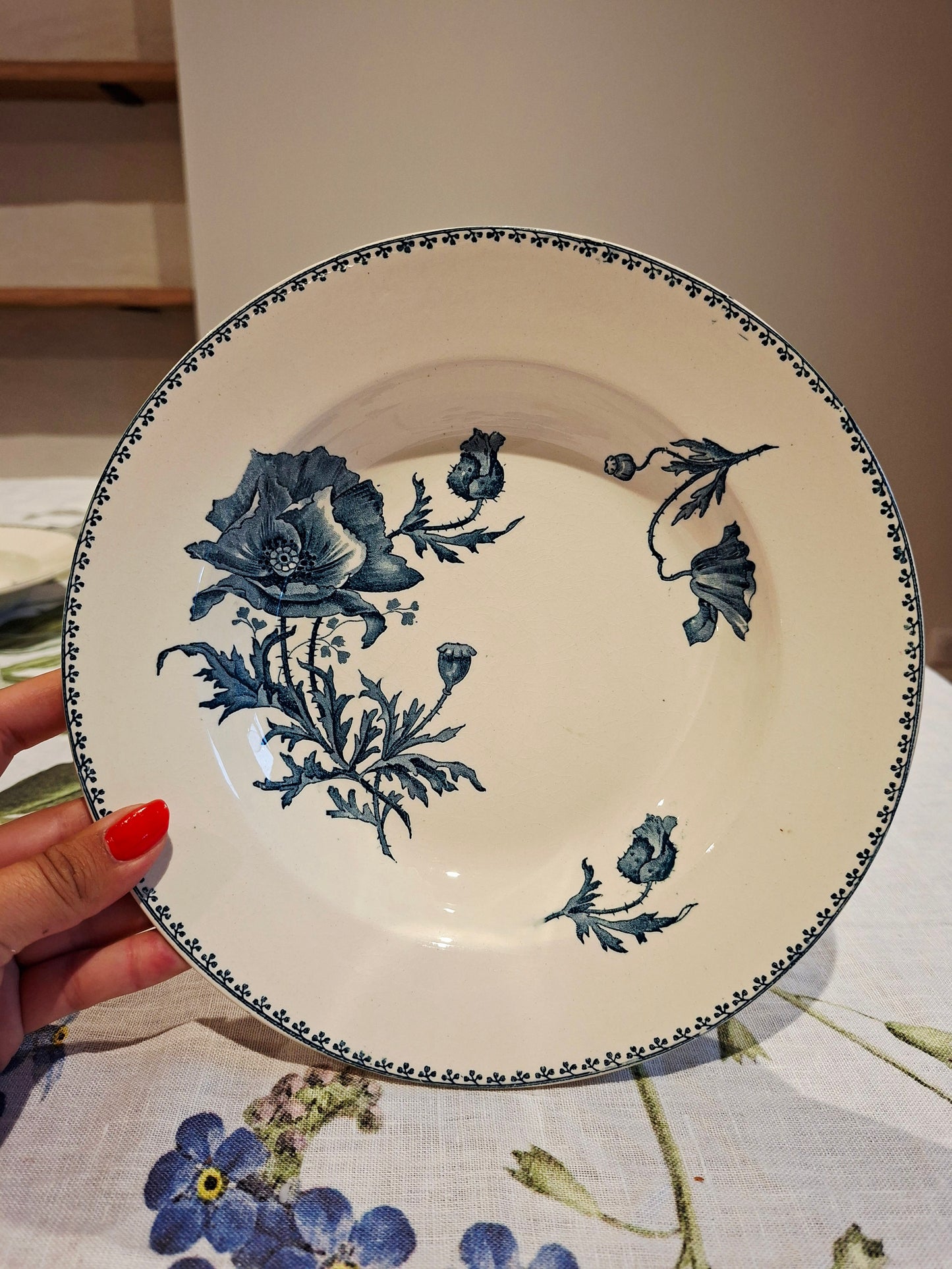 Lot de 6 assiettes creuses "Féria" U&C Sarreguemines