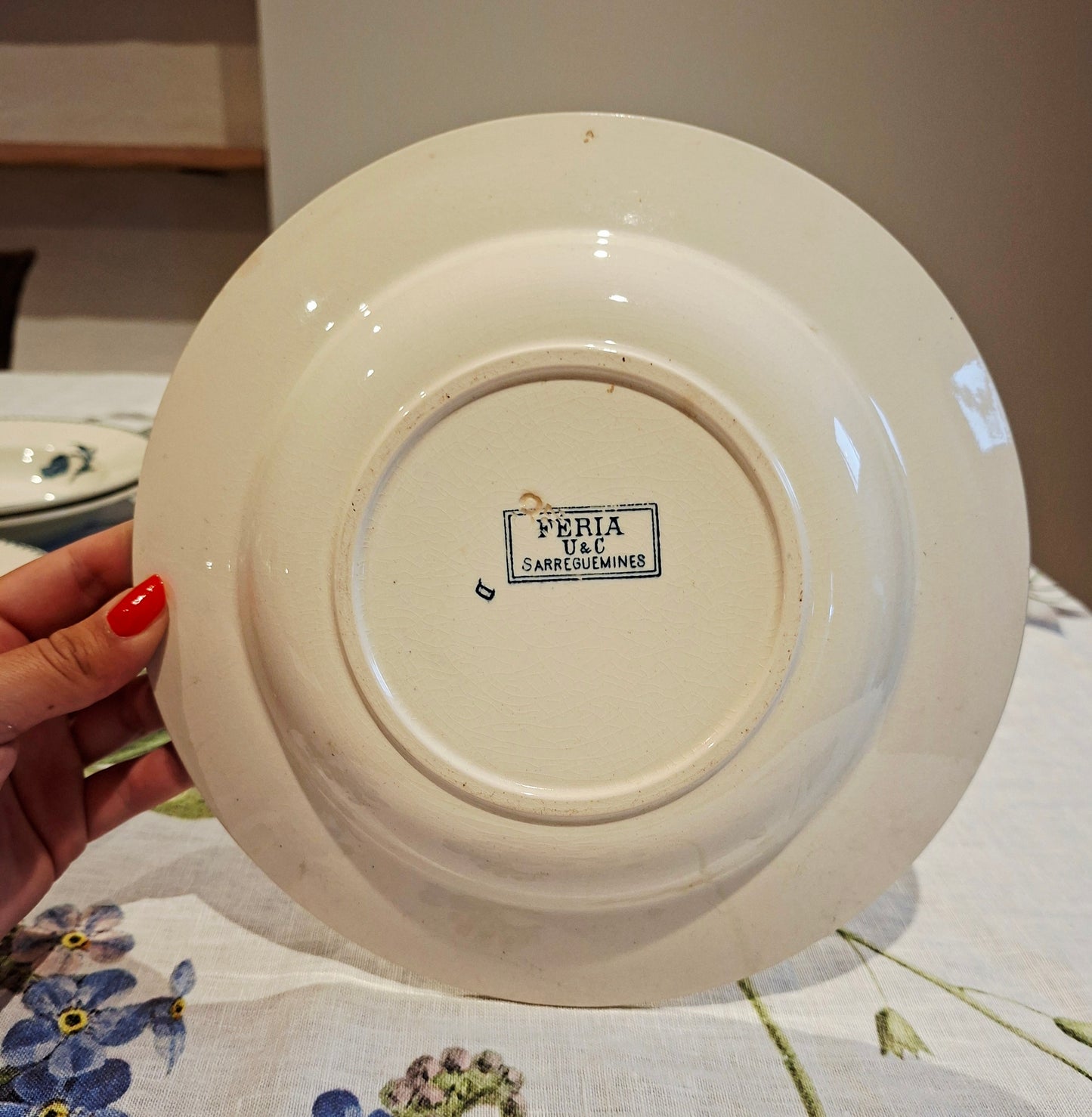 Lot de 6 assiettes creuses "Féria" U&C Sarreguemines