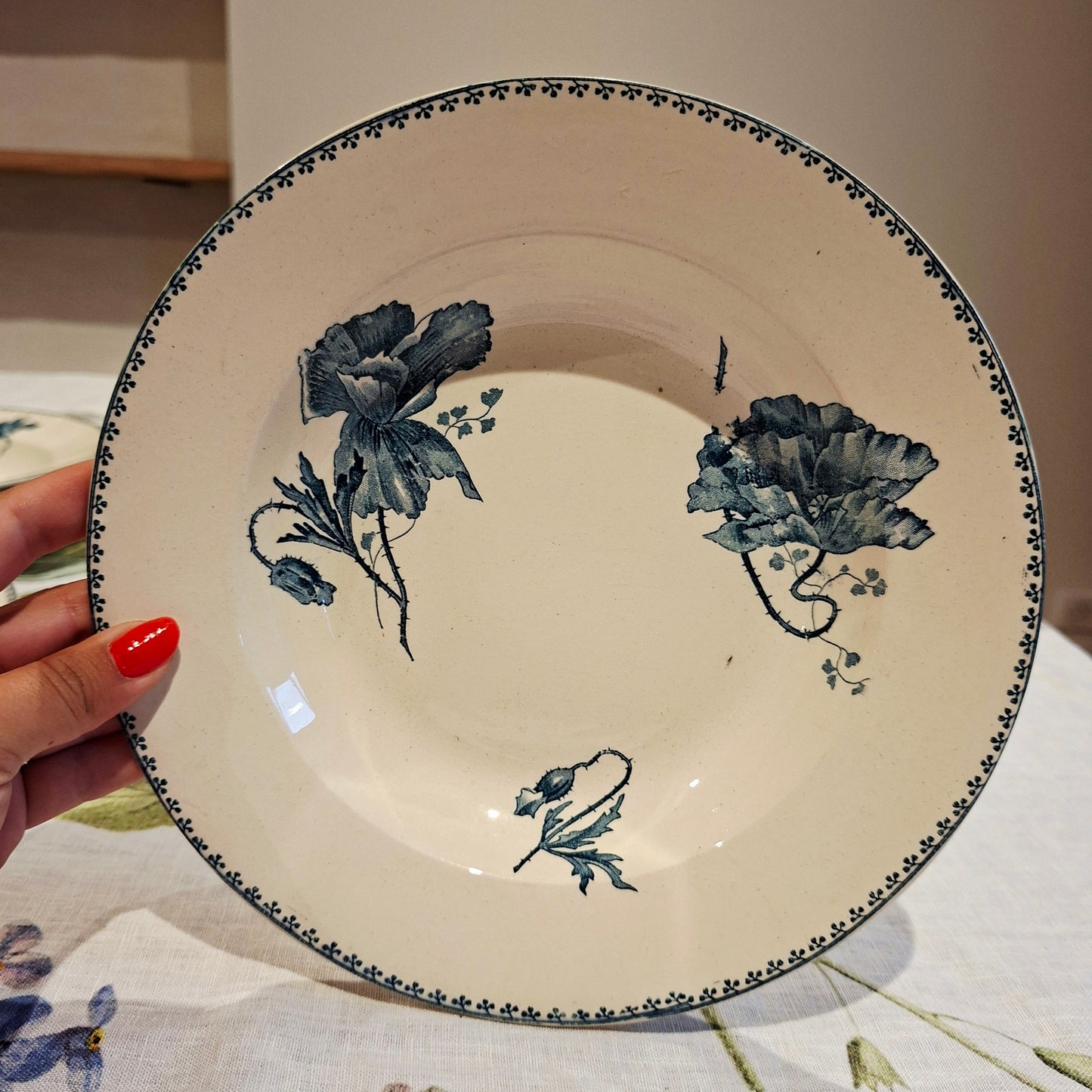 Lot de 6 assiettes creuses "Féria" U&C Sarreguemines