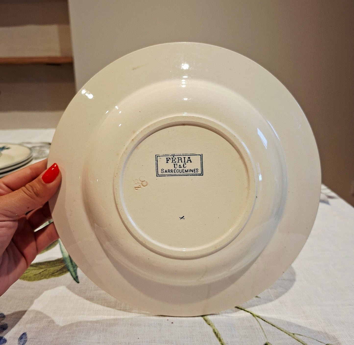Lot de 6 assiettes creuses "Féria" U&C Sarreguemines