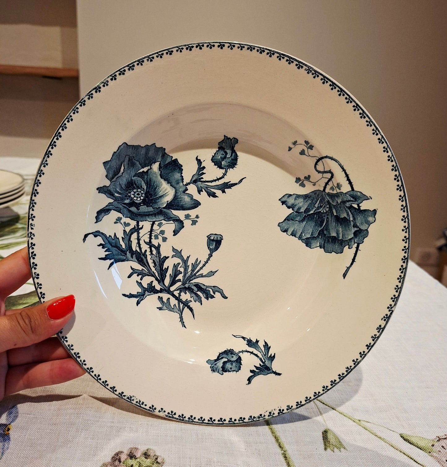Lot de 6 assiettes creuses "Féria" U&C Sarreguemines