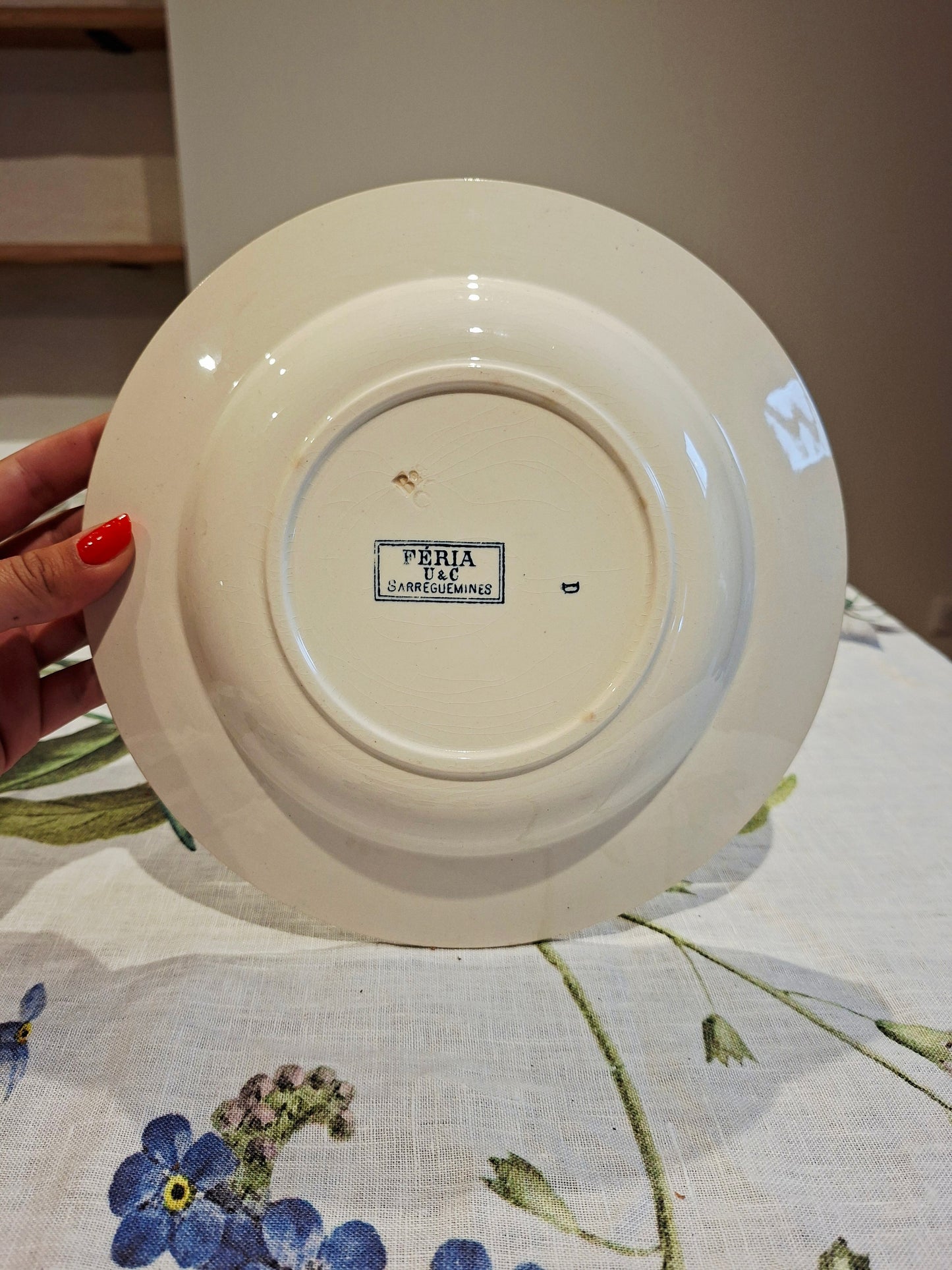 Lot de 6 assiettes creuses "Féria" U&C Sarreguemines