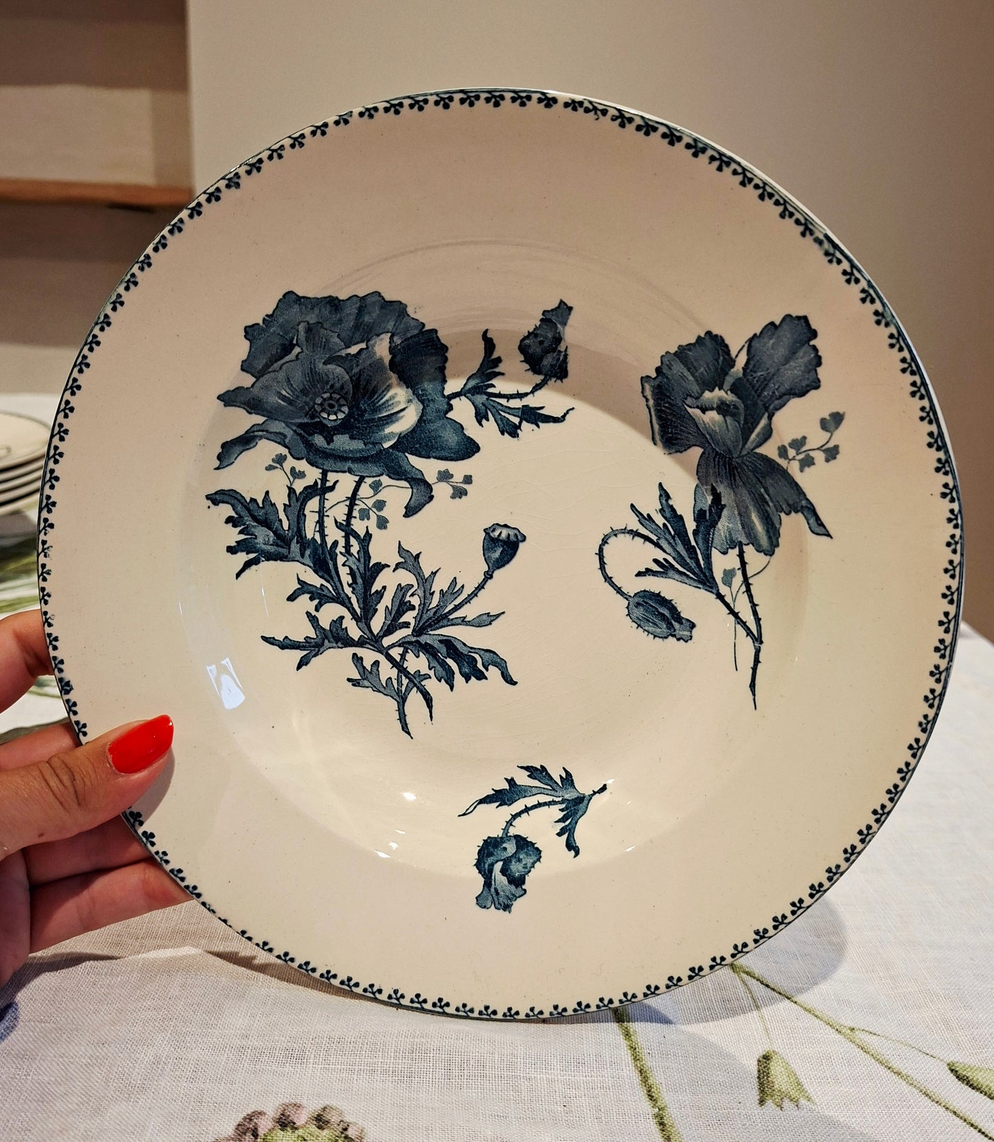 Lot de 6 assiettes creuses "Féria" U&C Sarreguemines
