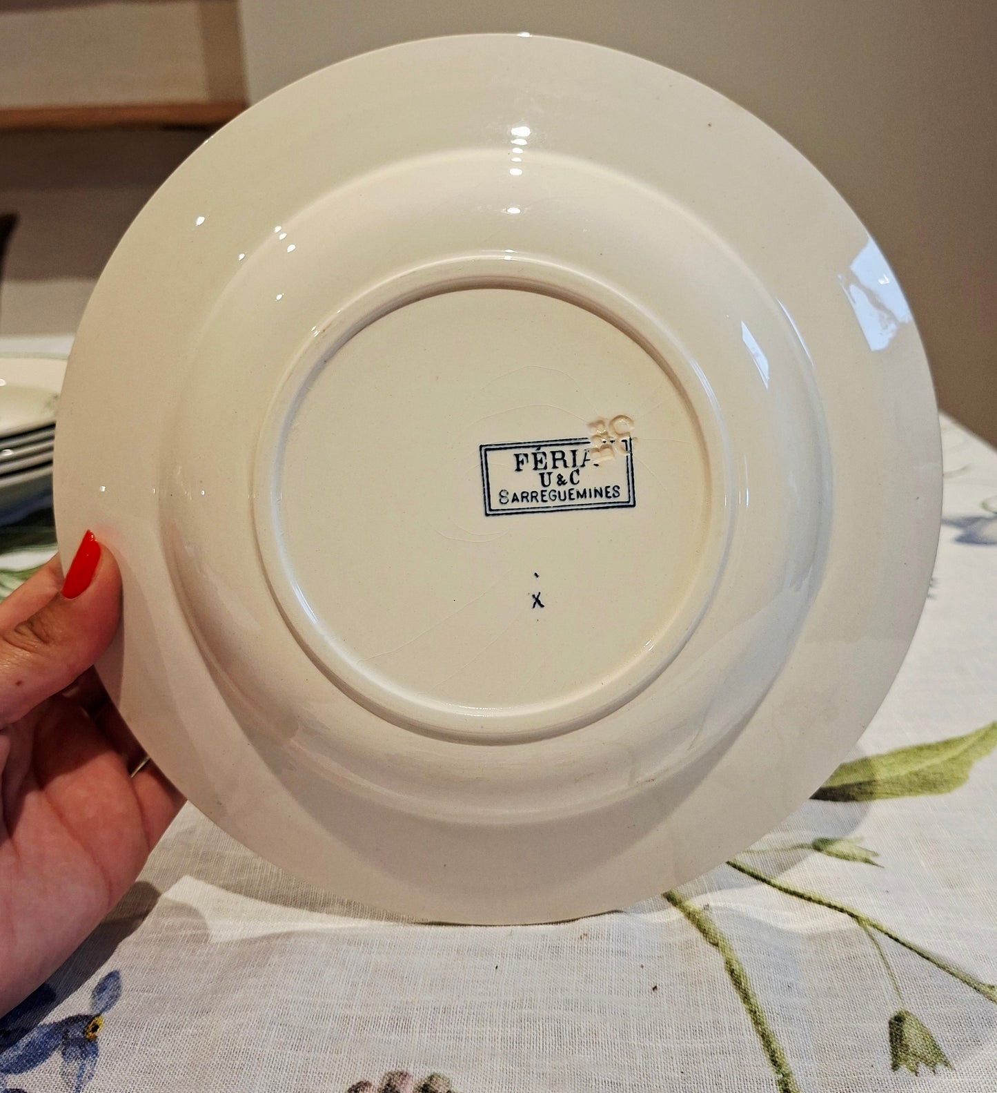 Lot de 6 assiettes creuses "Féria" U&C Sarreguemines