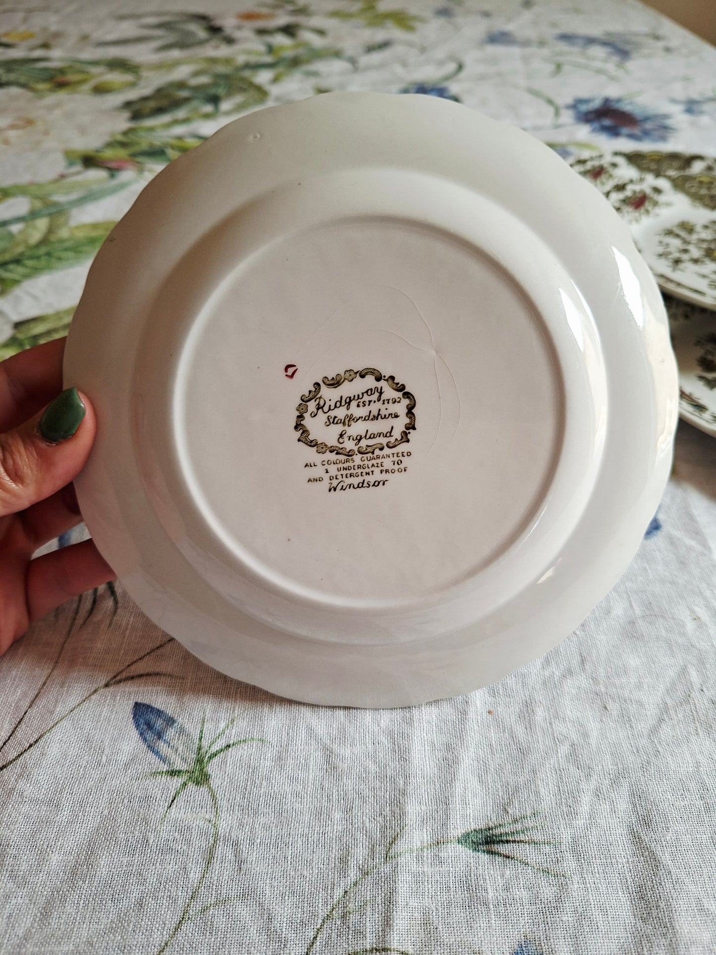 Lot de 6 assiettes à dessert Ridgway of Staffordshire