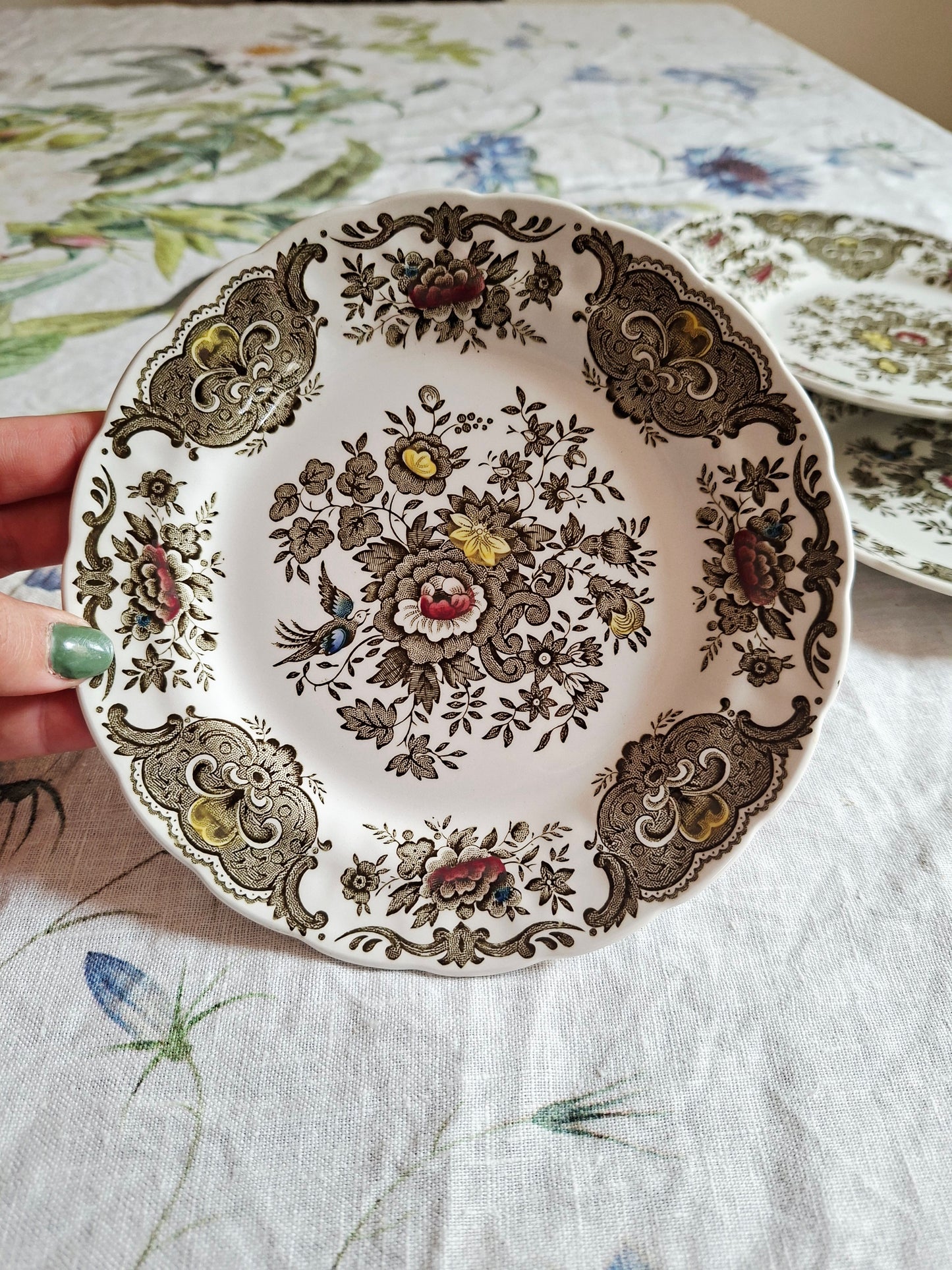 Lot de 6 assiettes à dessert Ridgway of Staffordshire