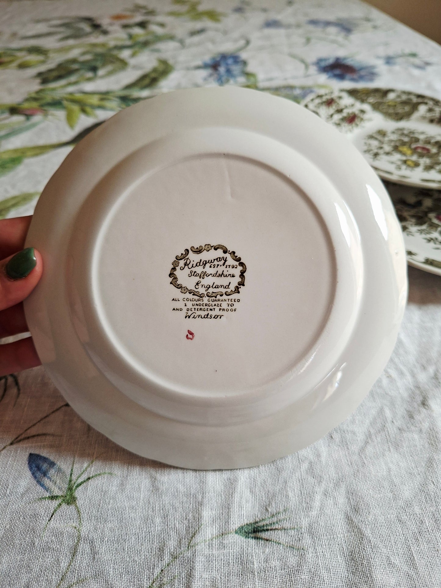 Lot de 6 assiettes à dessert Ridgway of Staffordshire
