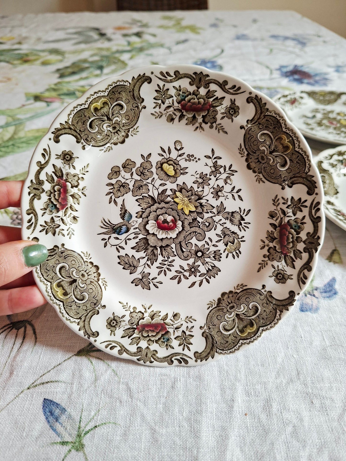 Lot de 6 assiettes à dessert Ridgway of Staffordshire