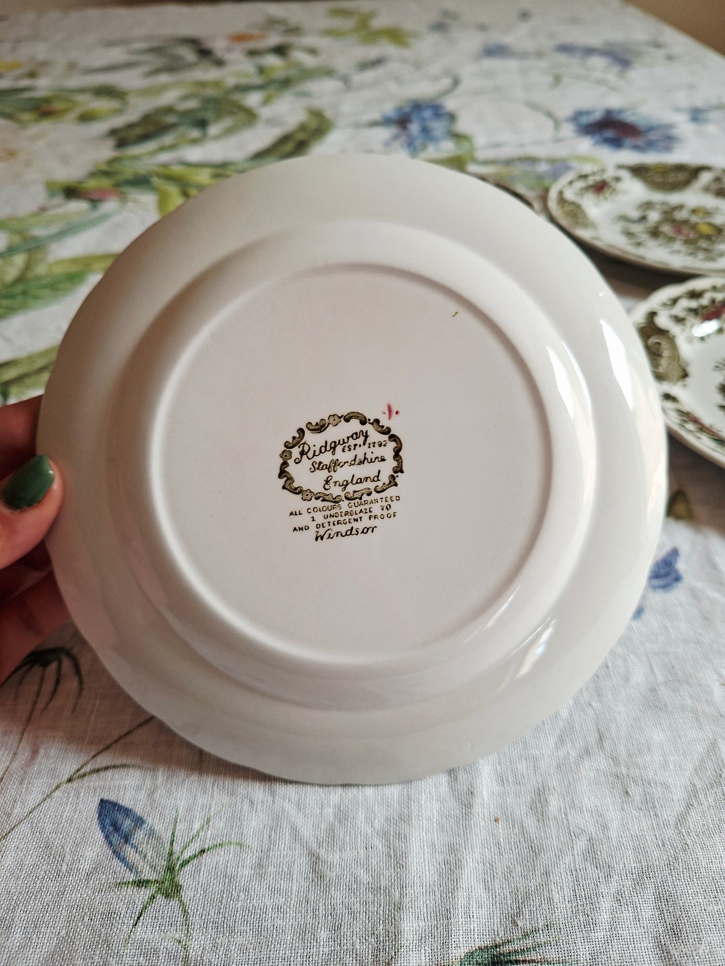 Lot de 6 assiettes à dessert Ridgway of Staffordshire