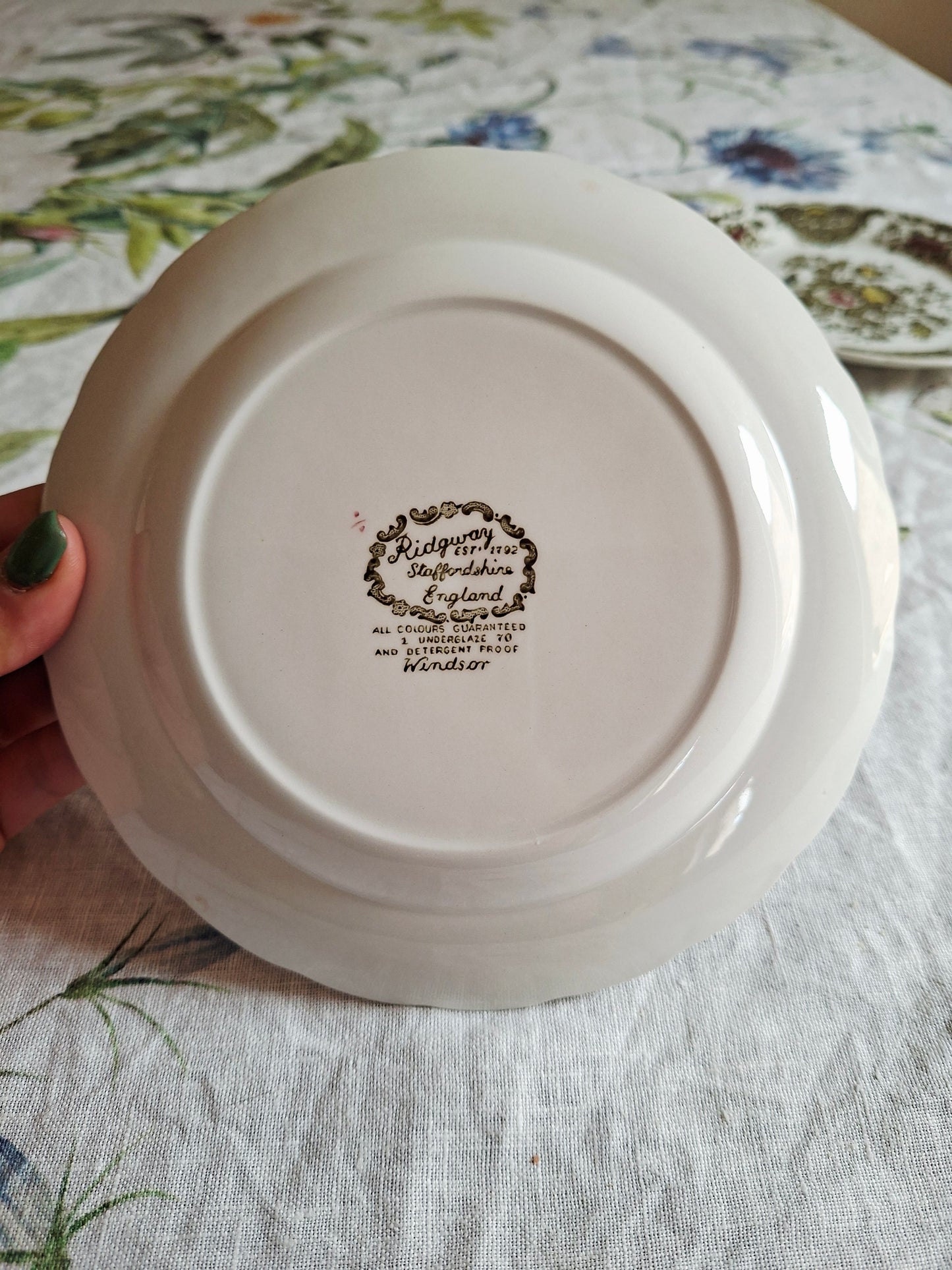 Lot de 6 assiettes à dessert Ridgway of Staffordshire