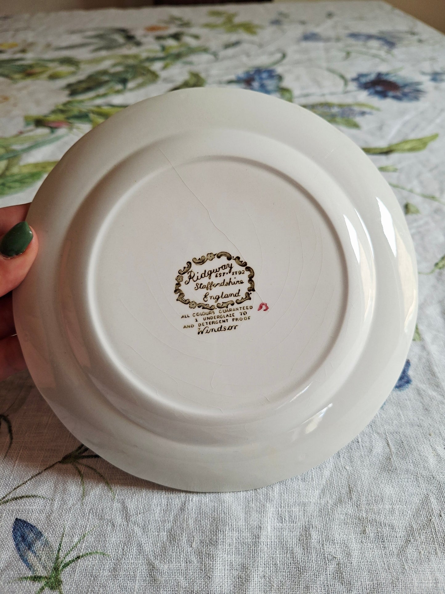 Lot de 6 assiettes à dessert Ridgway of Staffordshire