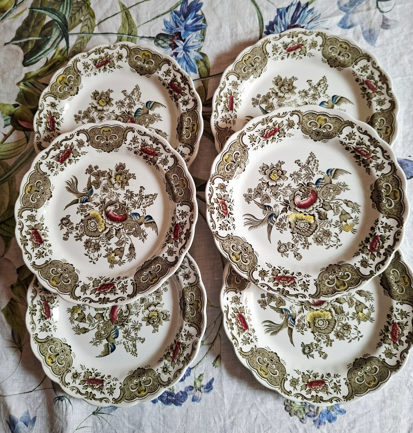Lot de 6 assiettes plate