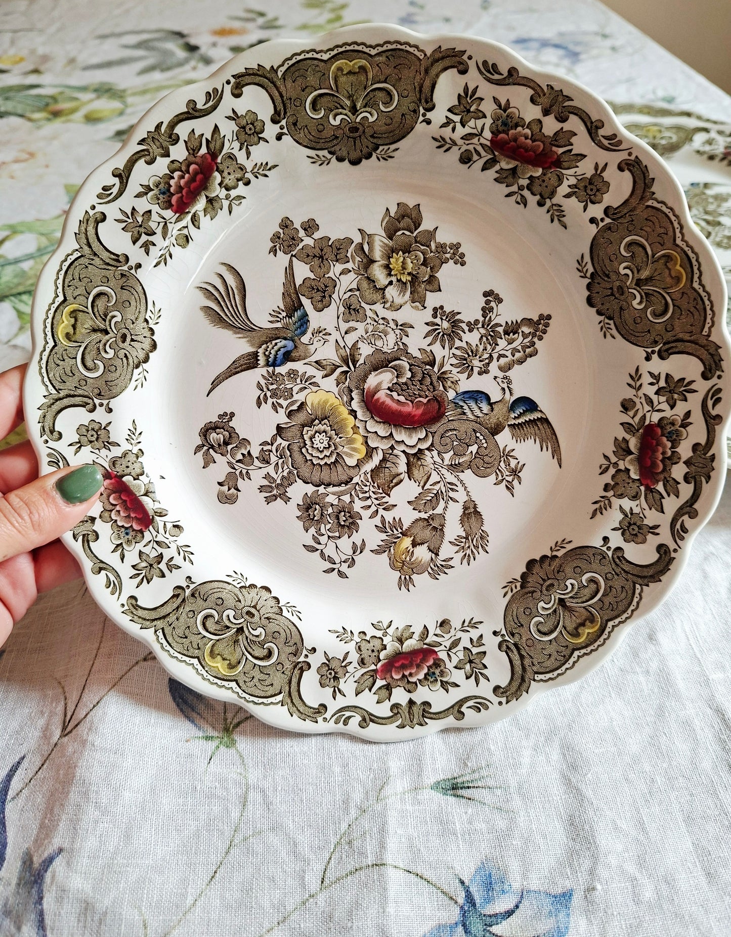 Lot de 6 assiettes plate