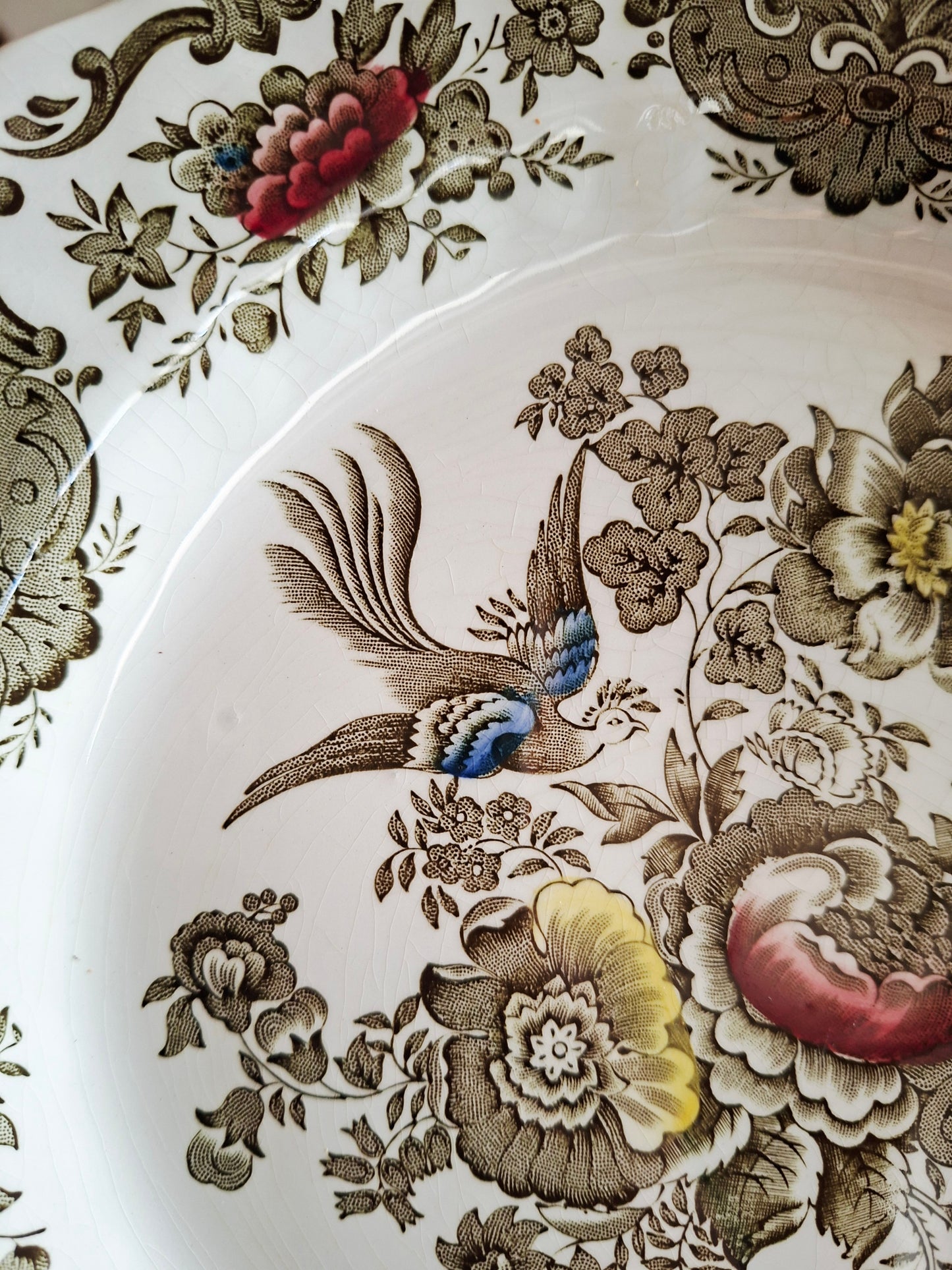 Lot de 6 assiettes plate