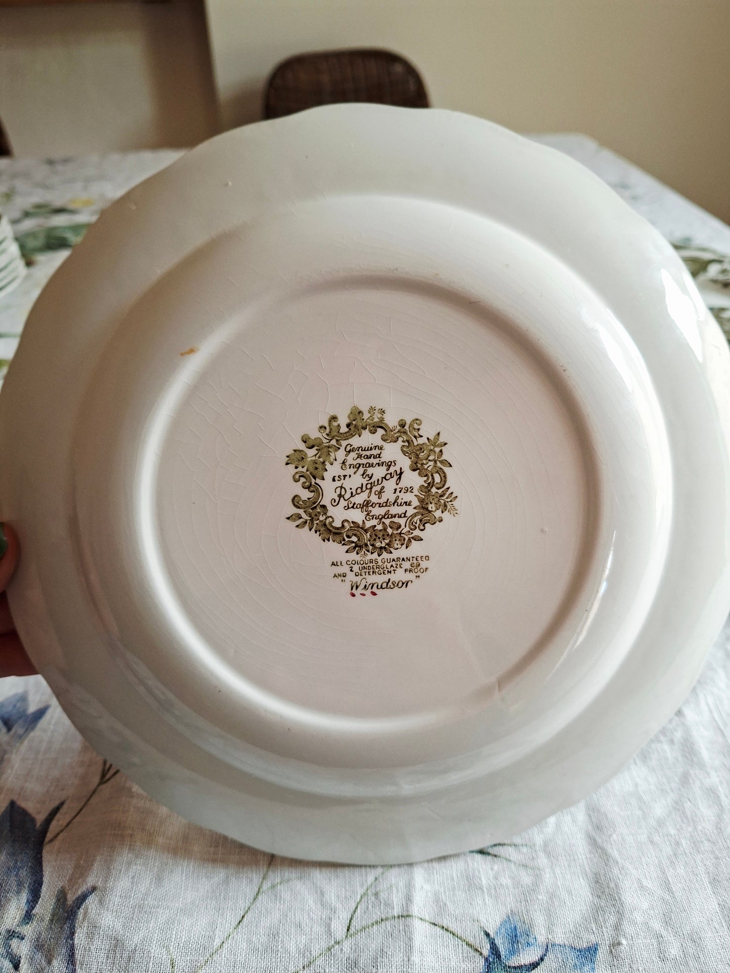 Lot de 6 assiettes plate