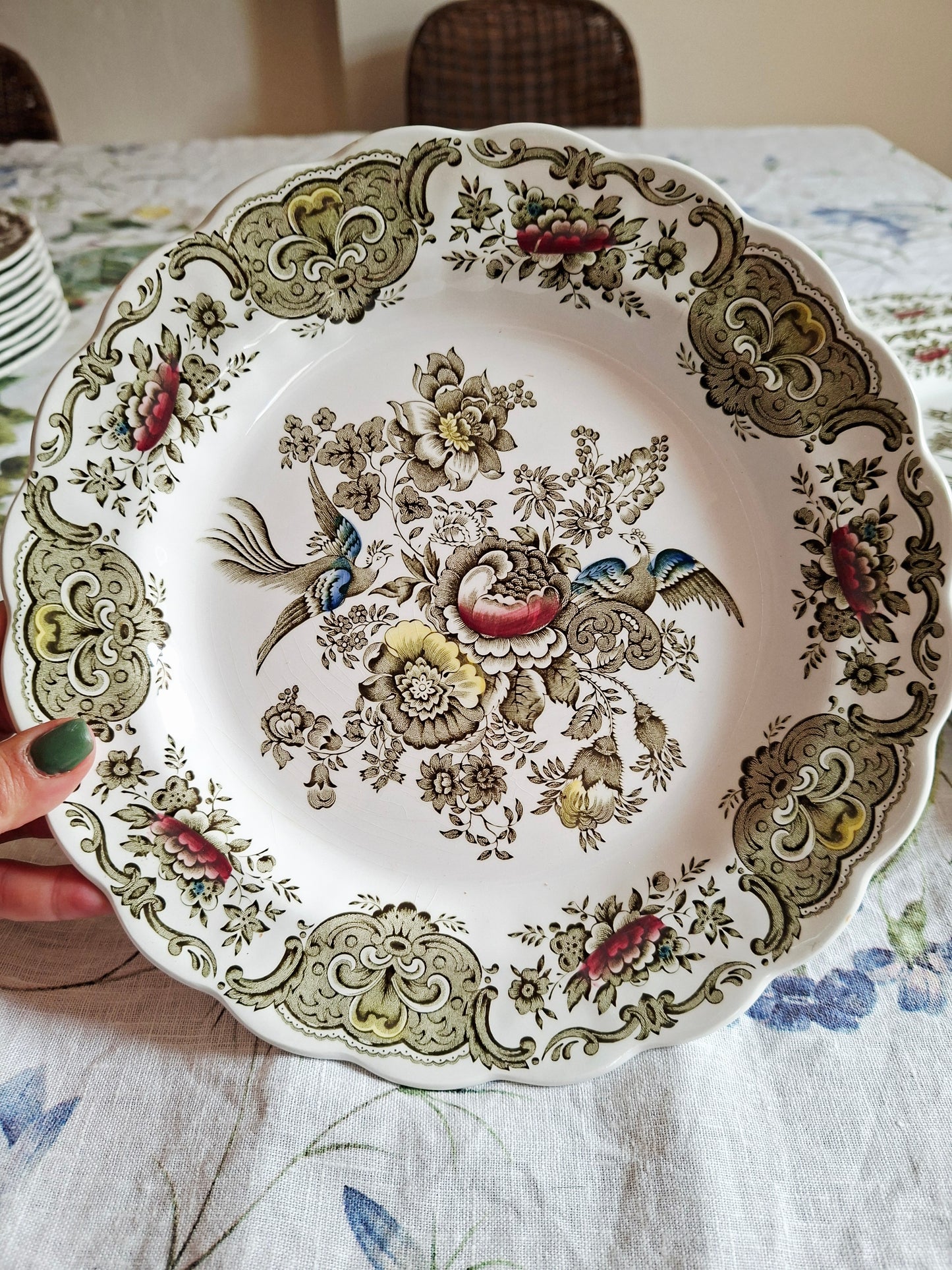 Lot de 6 assiettes plate