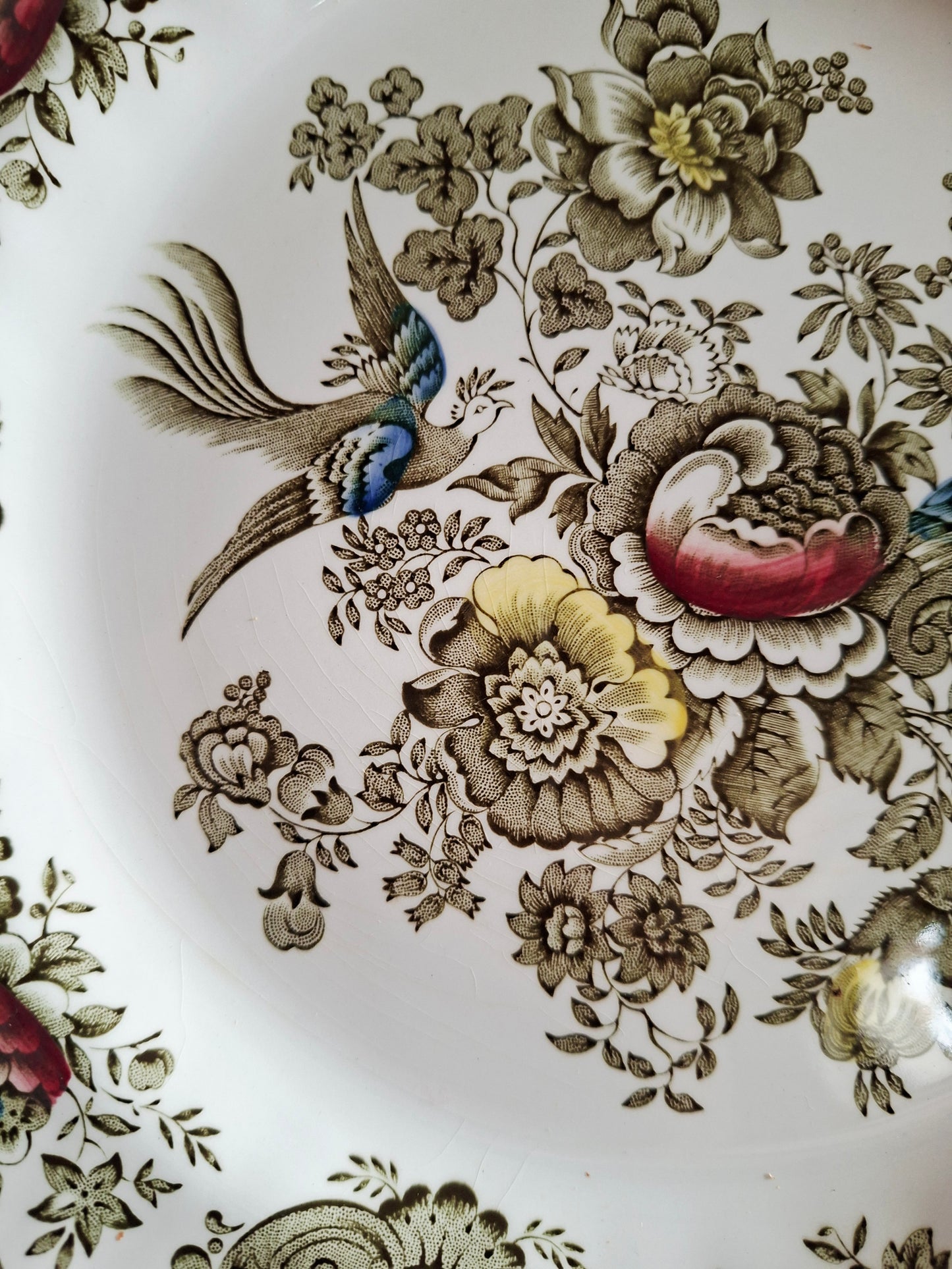 Lot de 6 assiettes plate