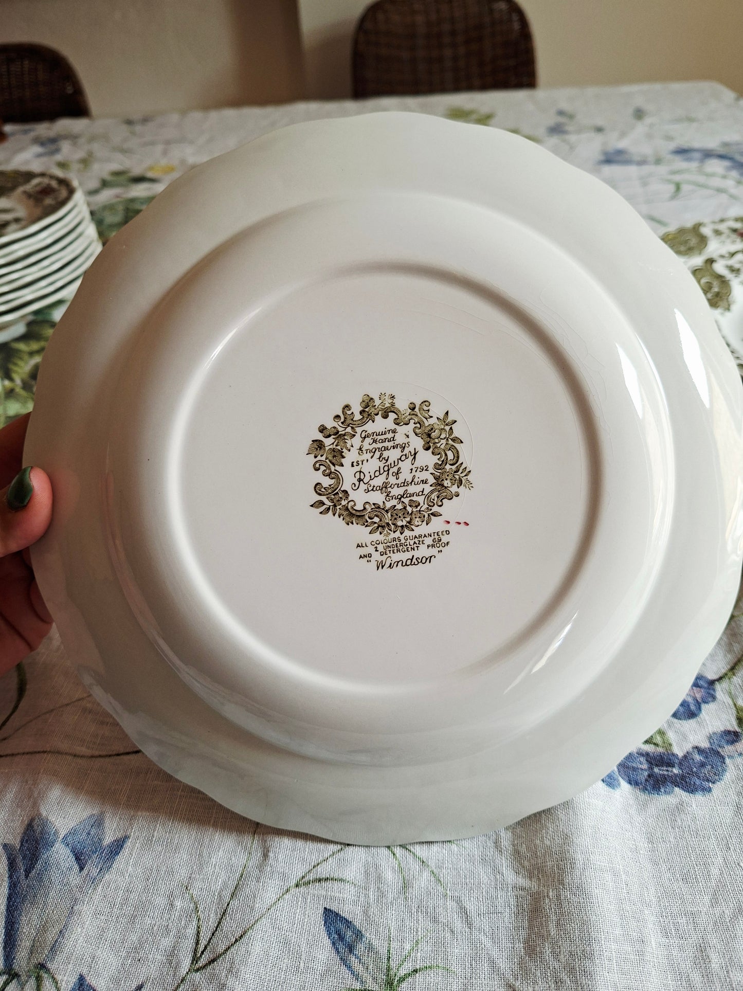 Lot de 6 assiettes plate