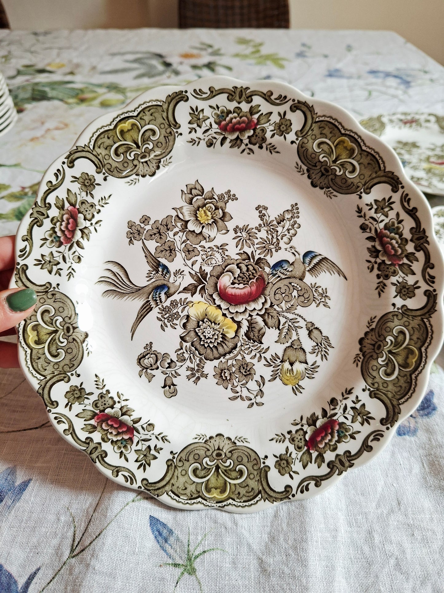 Lot de 6 assiettes plate