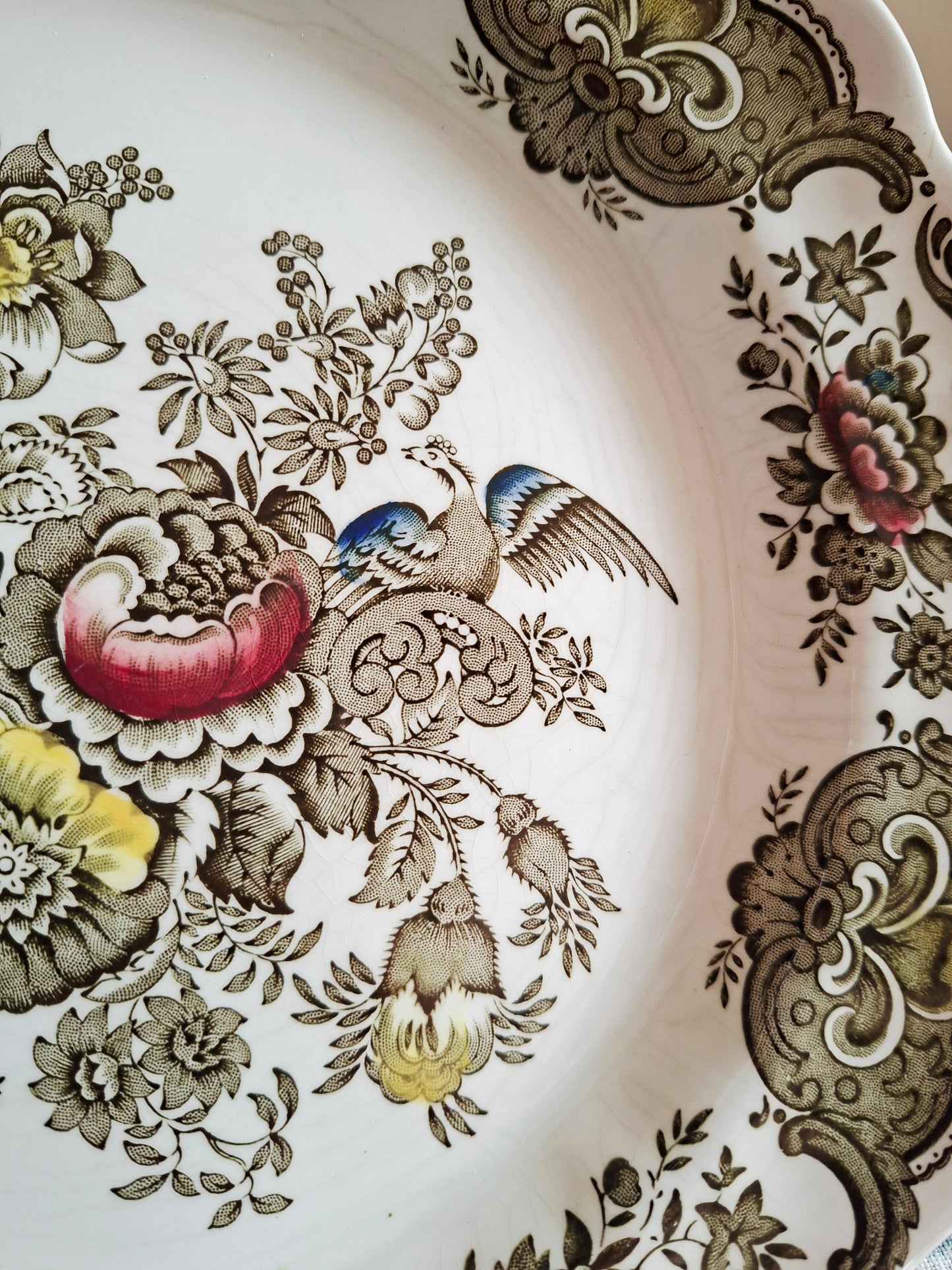 Lot de 6 assiettes plate