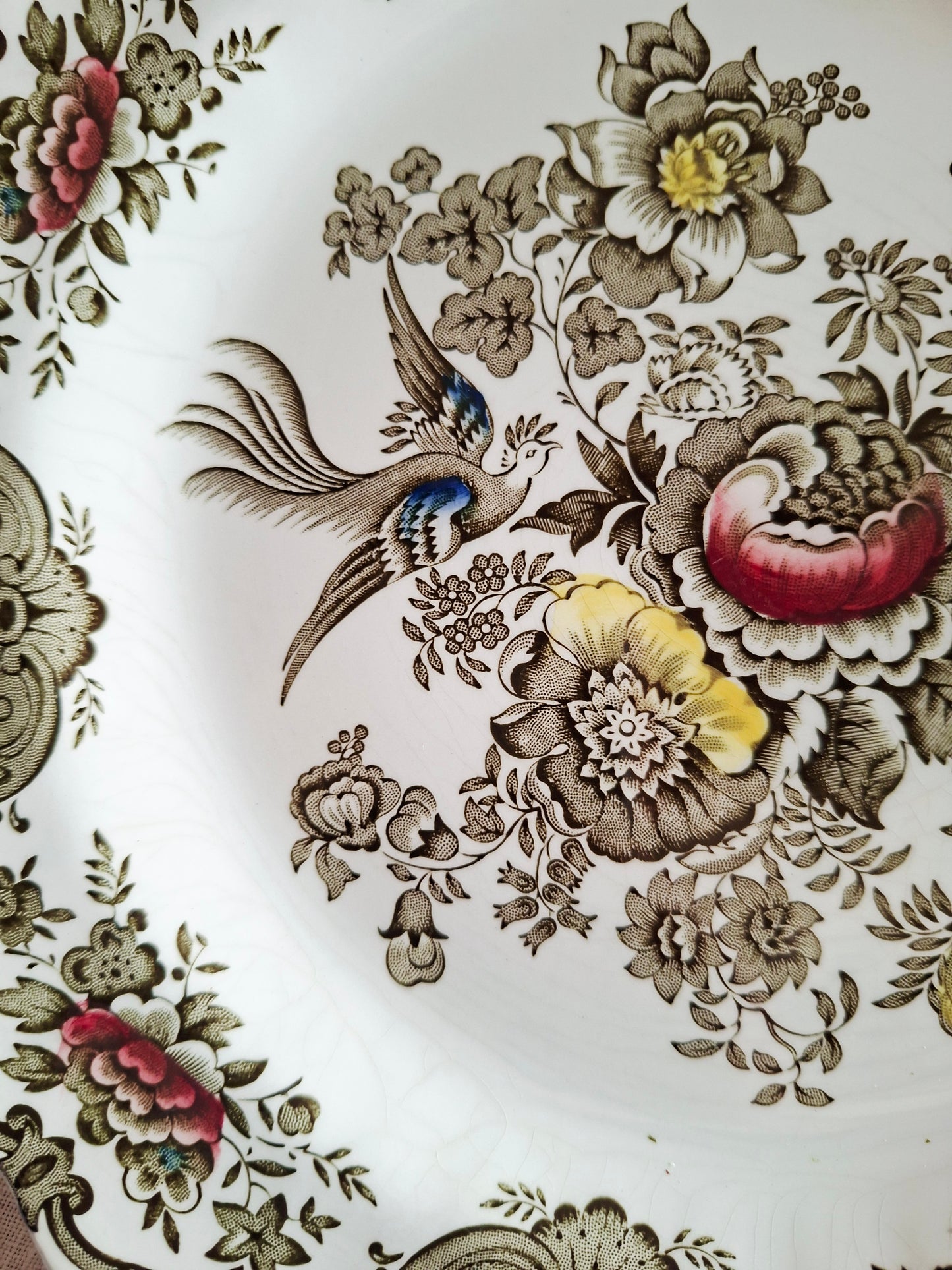 Lot de 6 assiettes plate