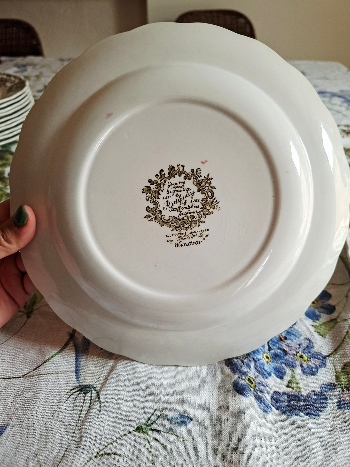 Lot de 6 assiettes plate
