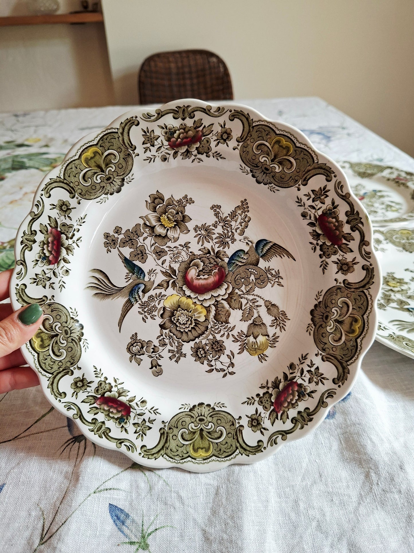 Lot de 6 assiettes plate