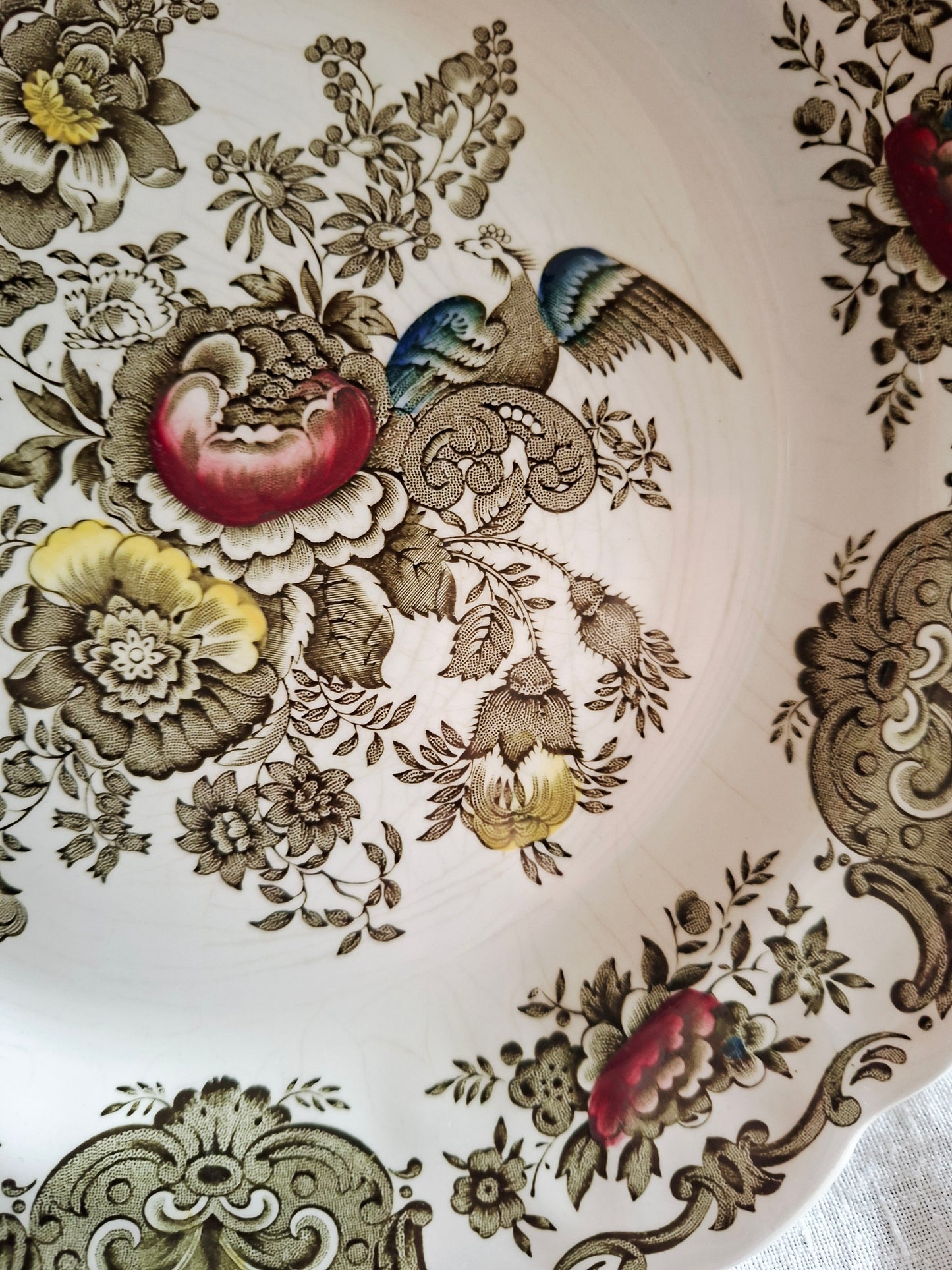 Lot de 6 assiettes plate