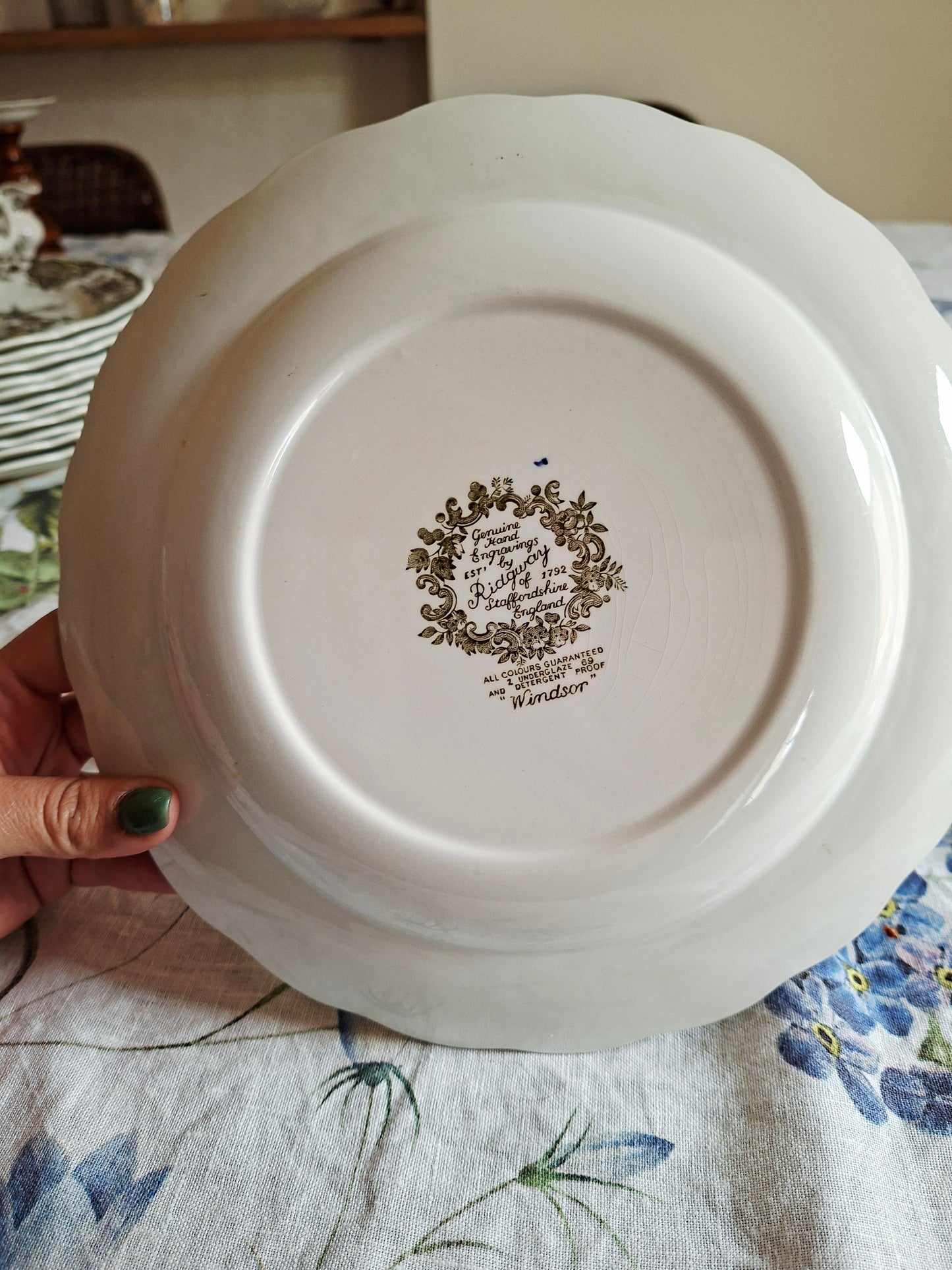 Lot de 6 assiettes plate