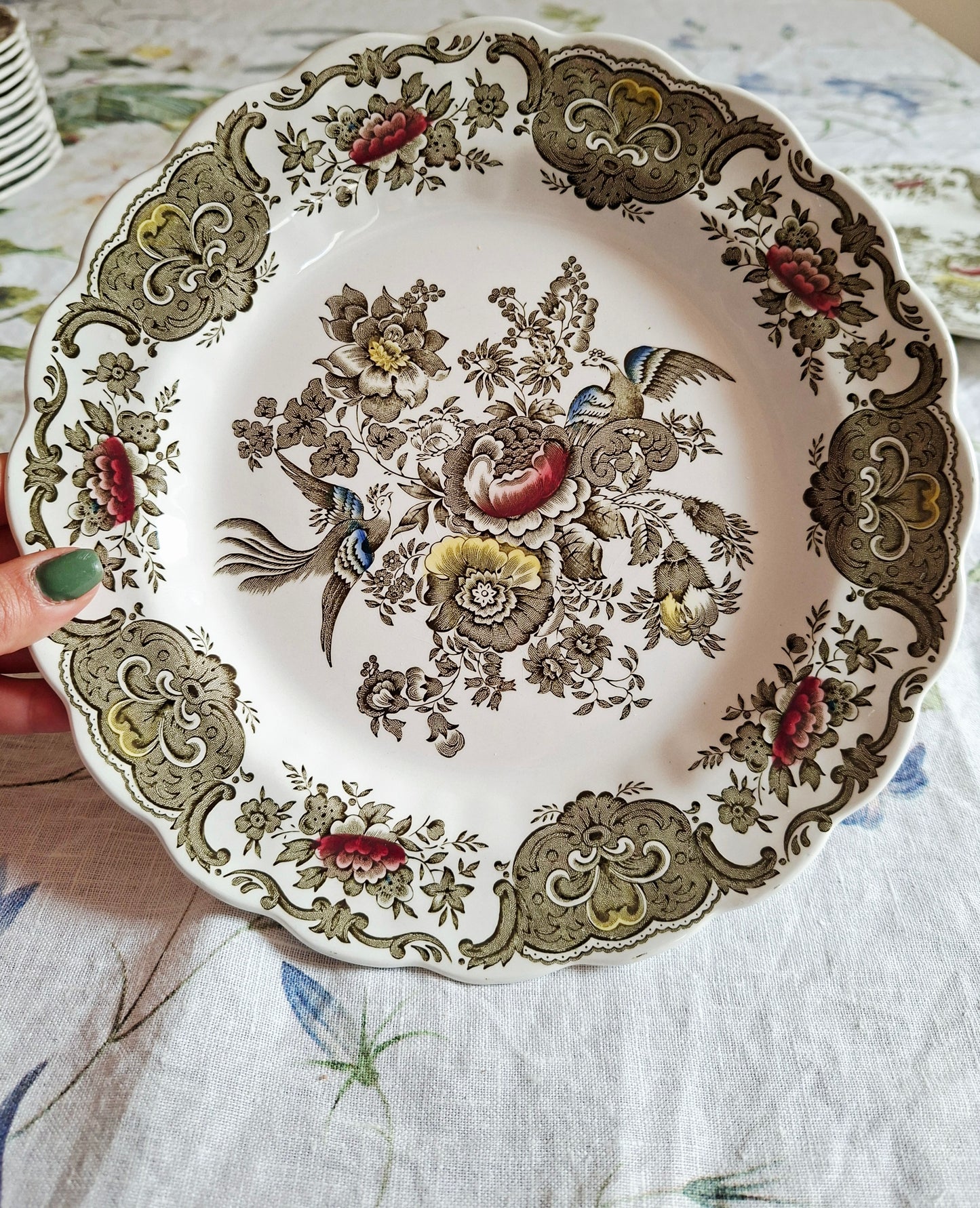 Lot de 6 assiettes plate