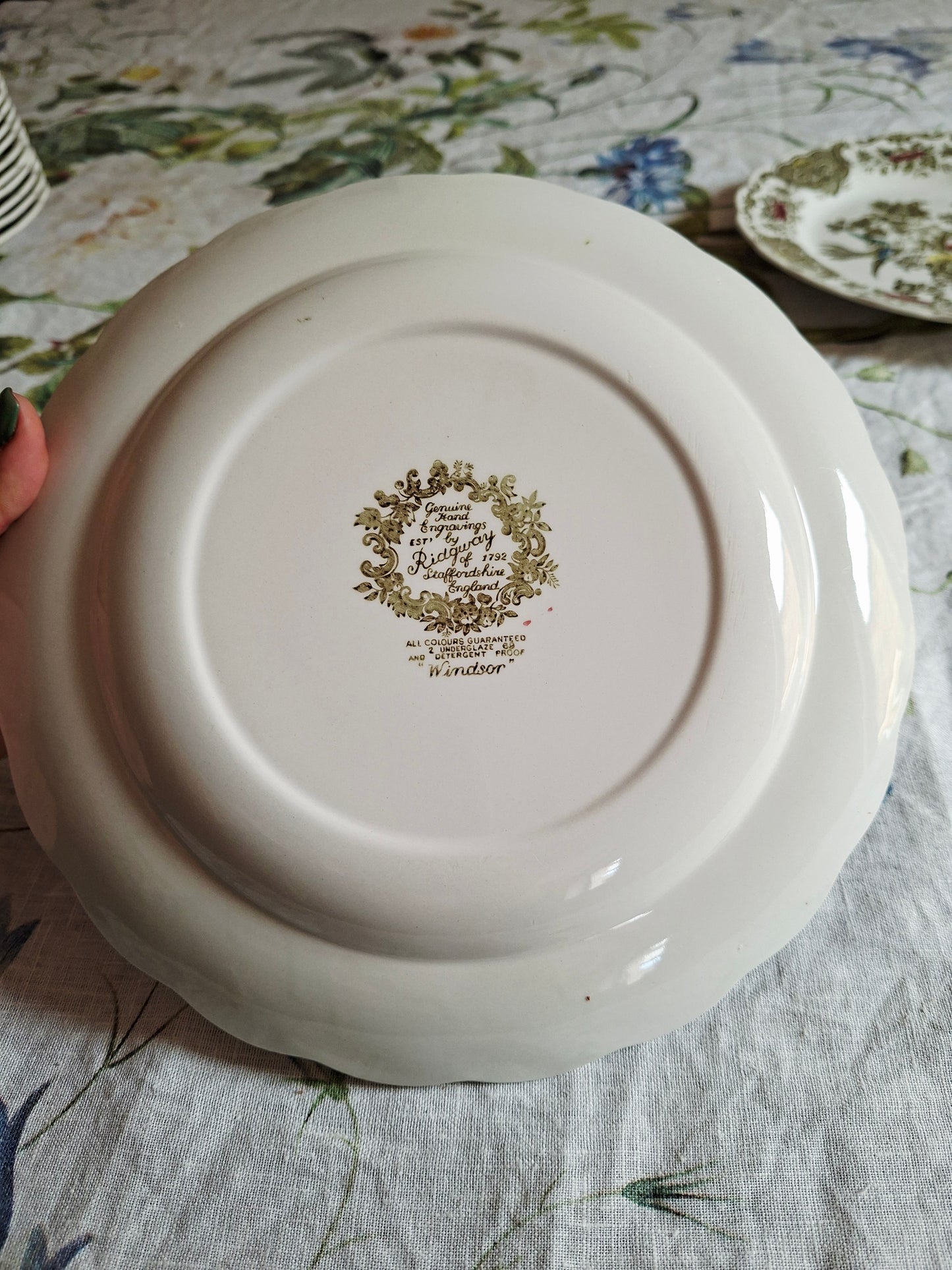 Lot de 6 assiettes plate