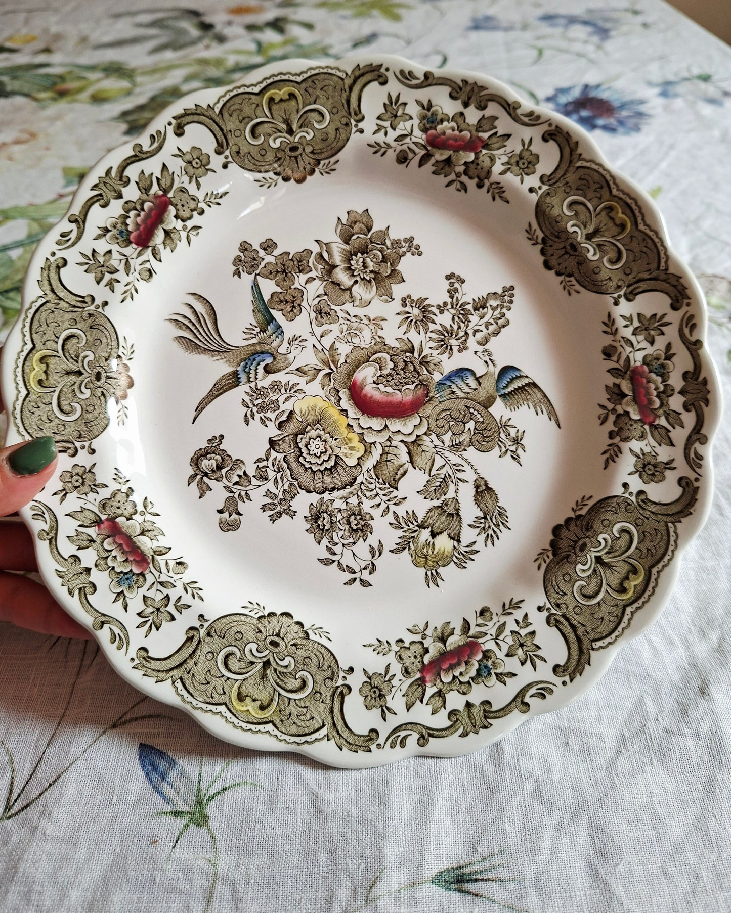 Lot de 6 assiettes plate