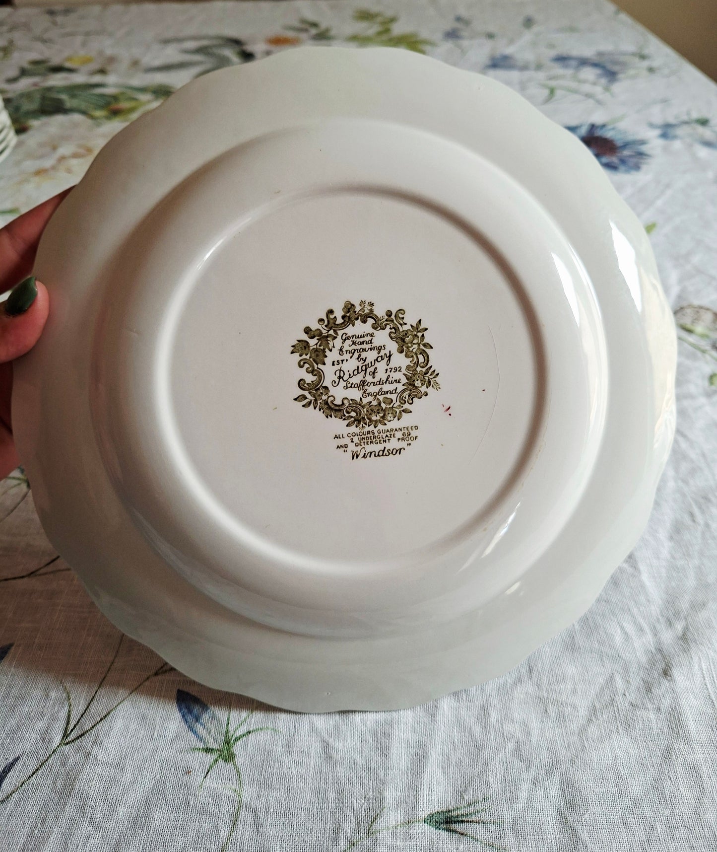 Lot de 6 assiettes plate
